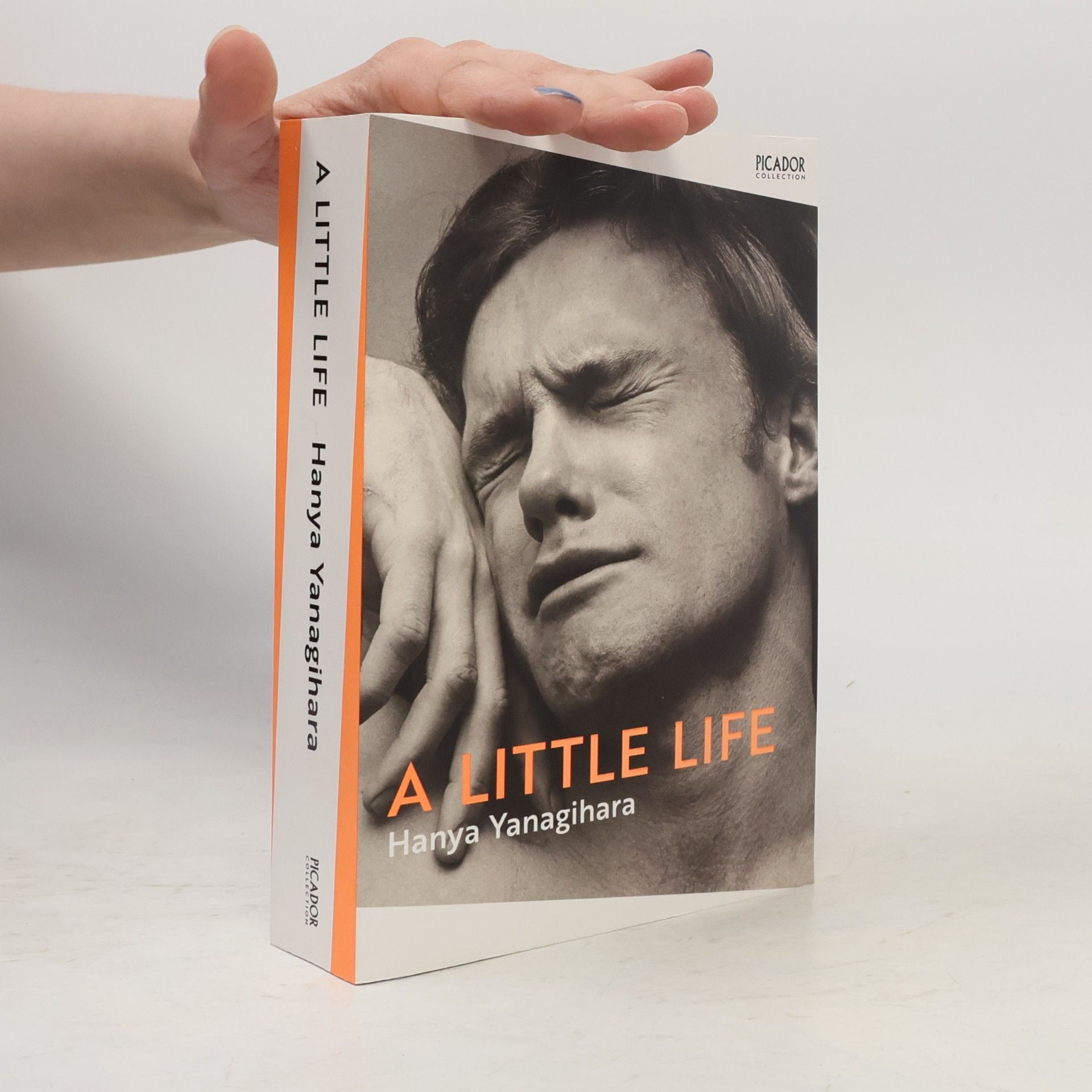 Hanya Yanagihara A Little Life