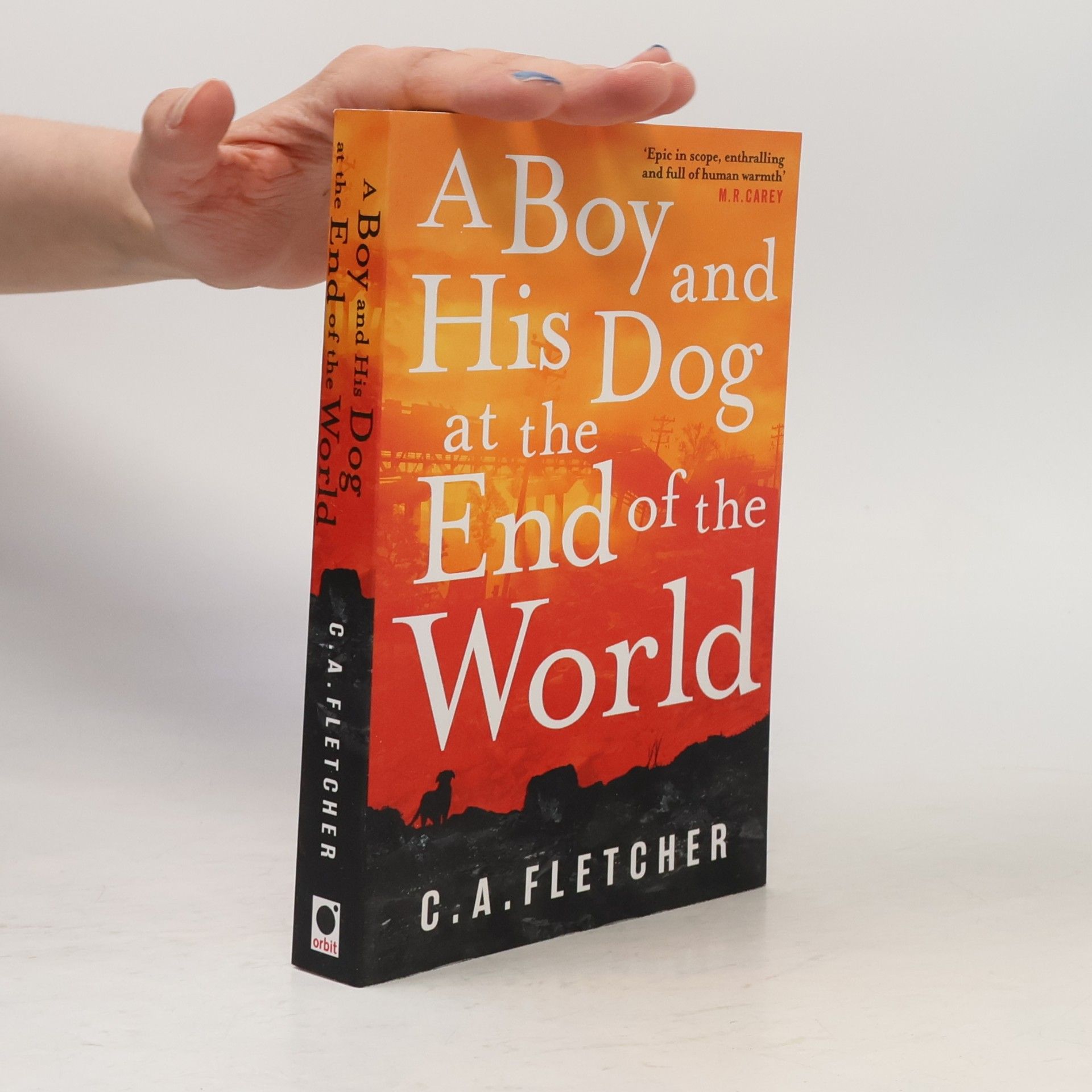 C. A. Fletcher A Boy and His Dog at the End of the World