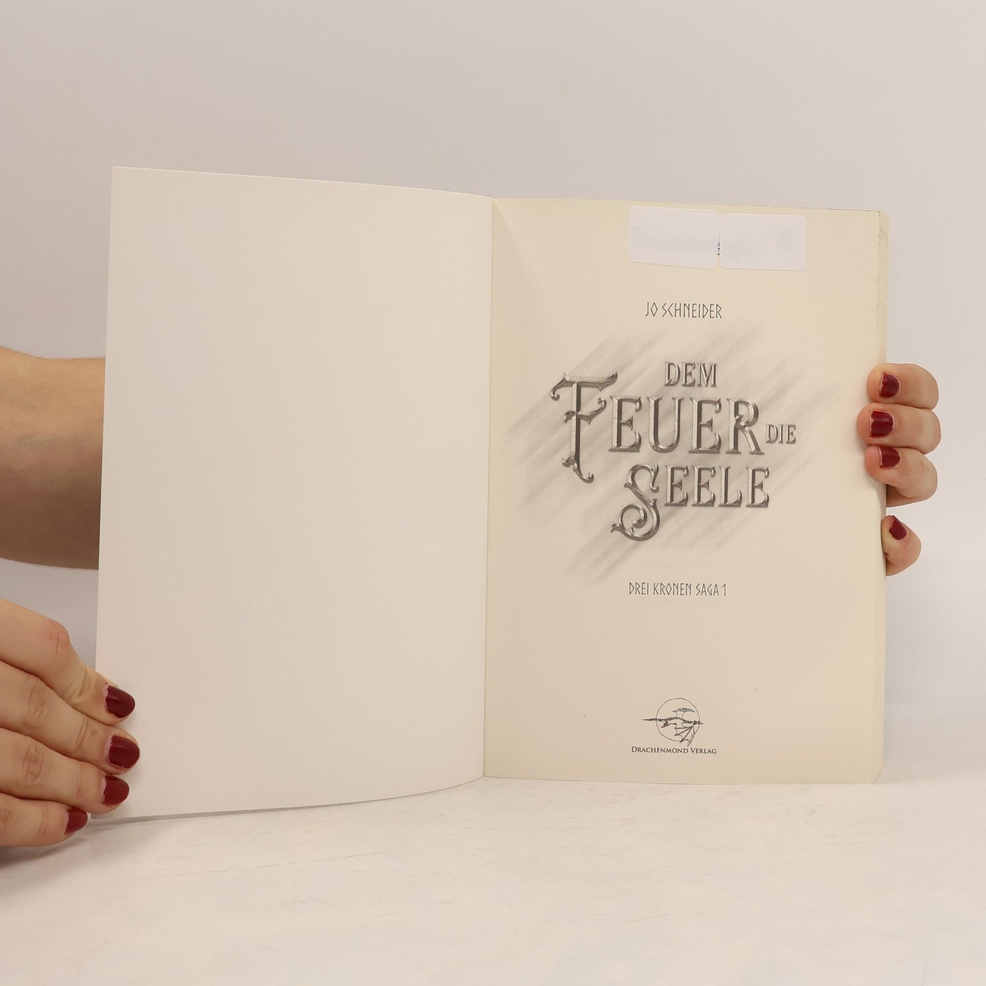 Jo Schneider Dem Feuer die Seele