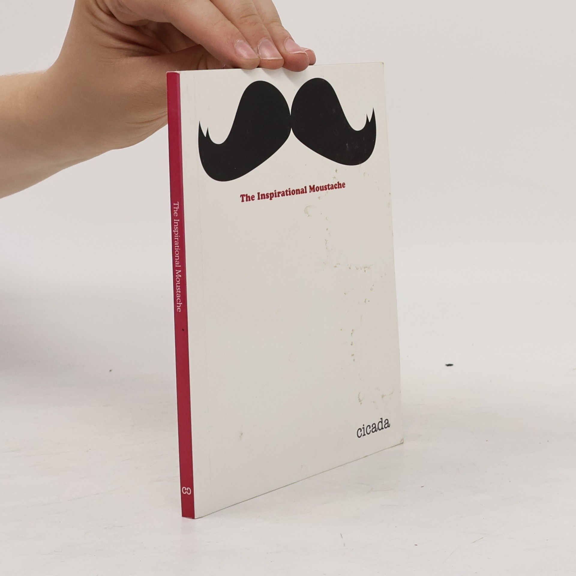 Ziggy Hanaor The Inspirational Moustache