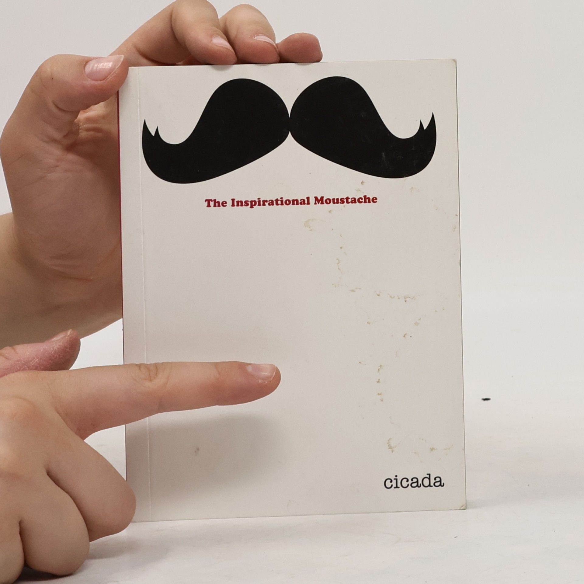 Ziggy Hanaor The Inspirational Moustache