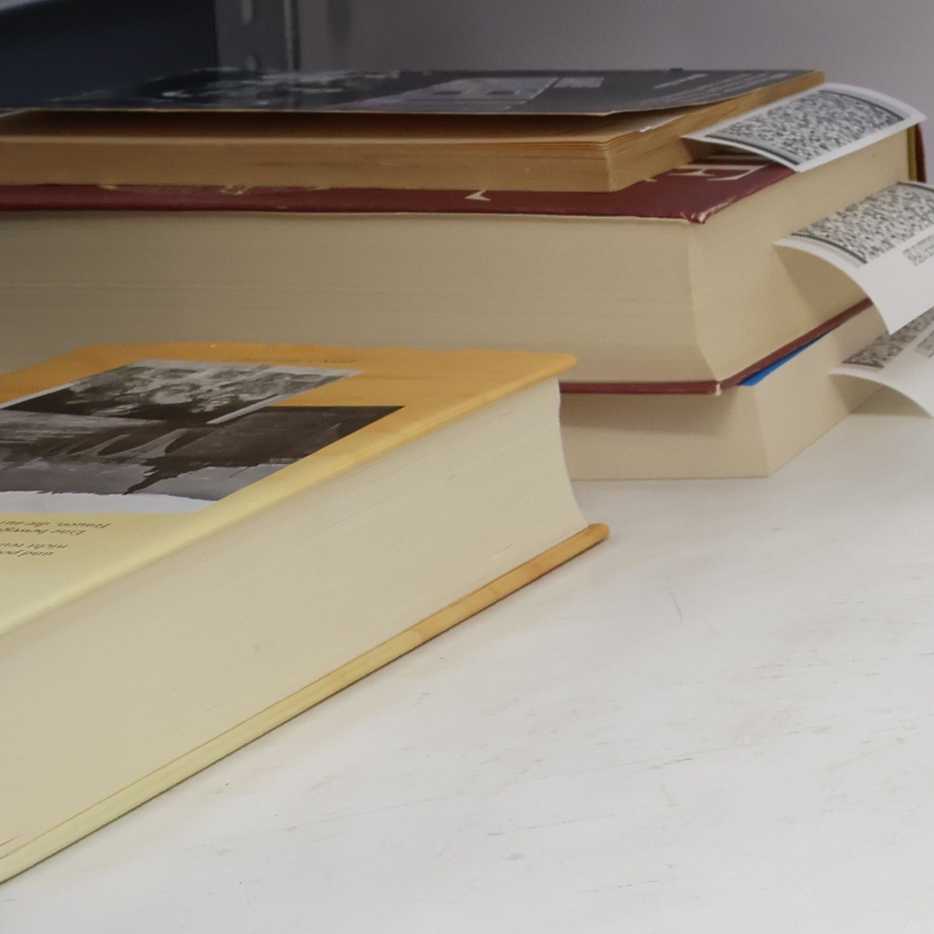 Autorenkollektiv Die Vampir Schwestern. Das Buch zum Film