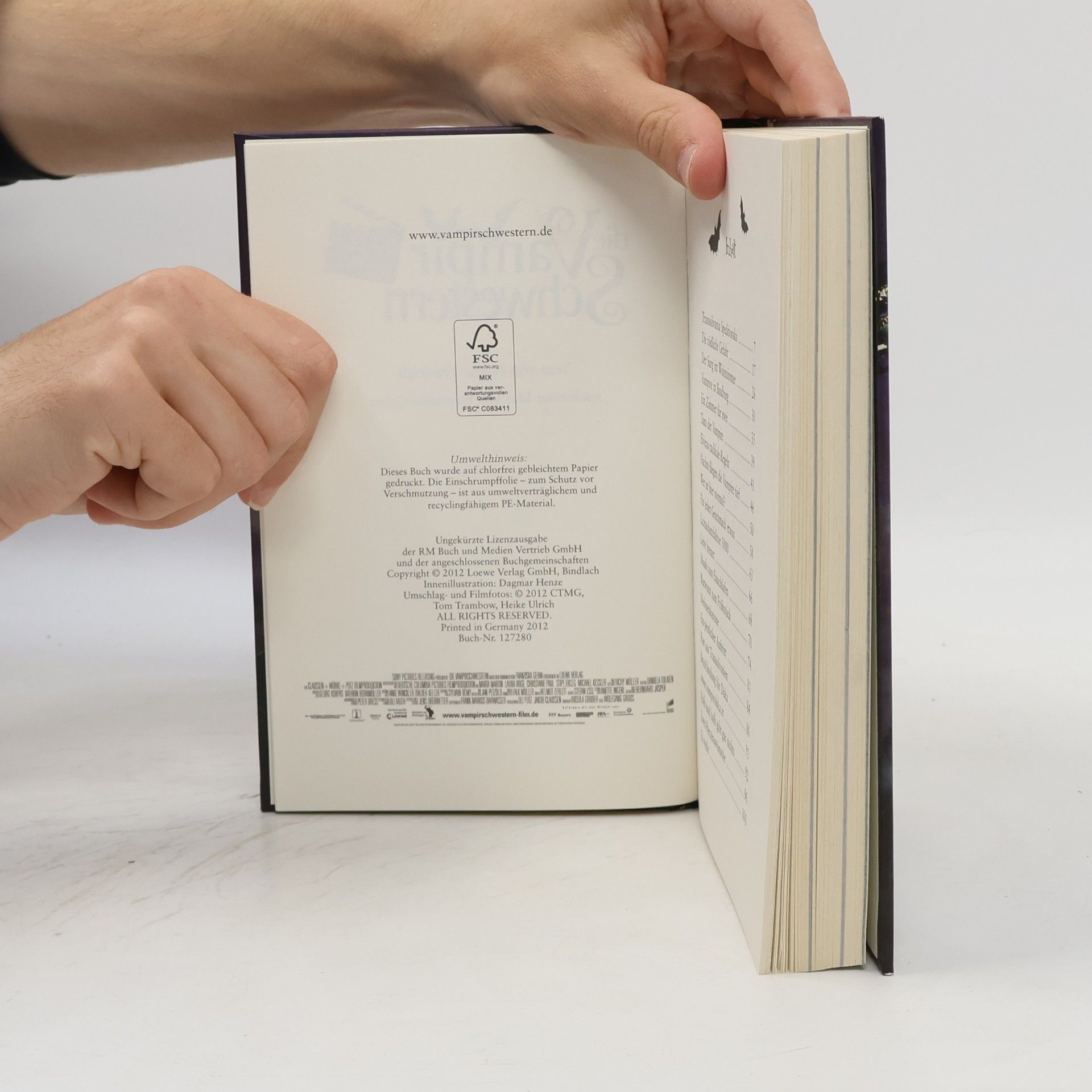 Autorenkollektiv Die Vampir Schwestern. Das Buch zum Film