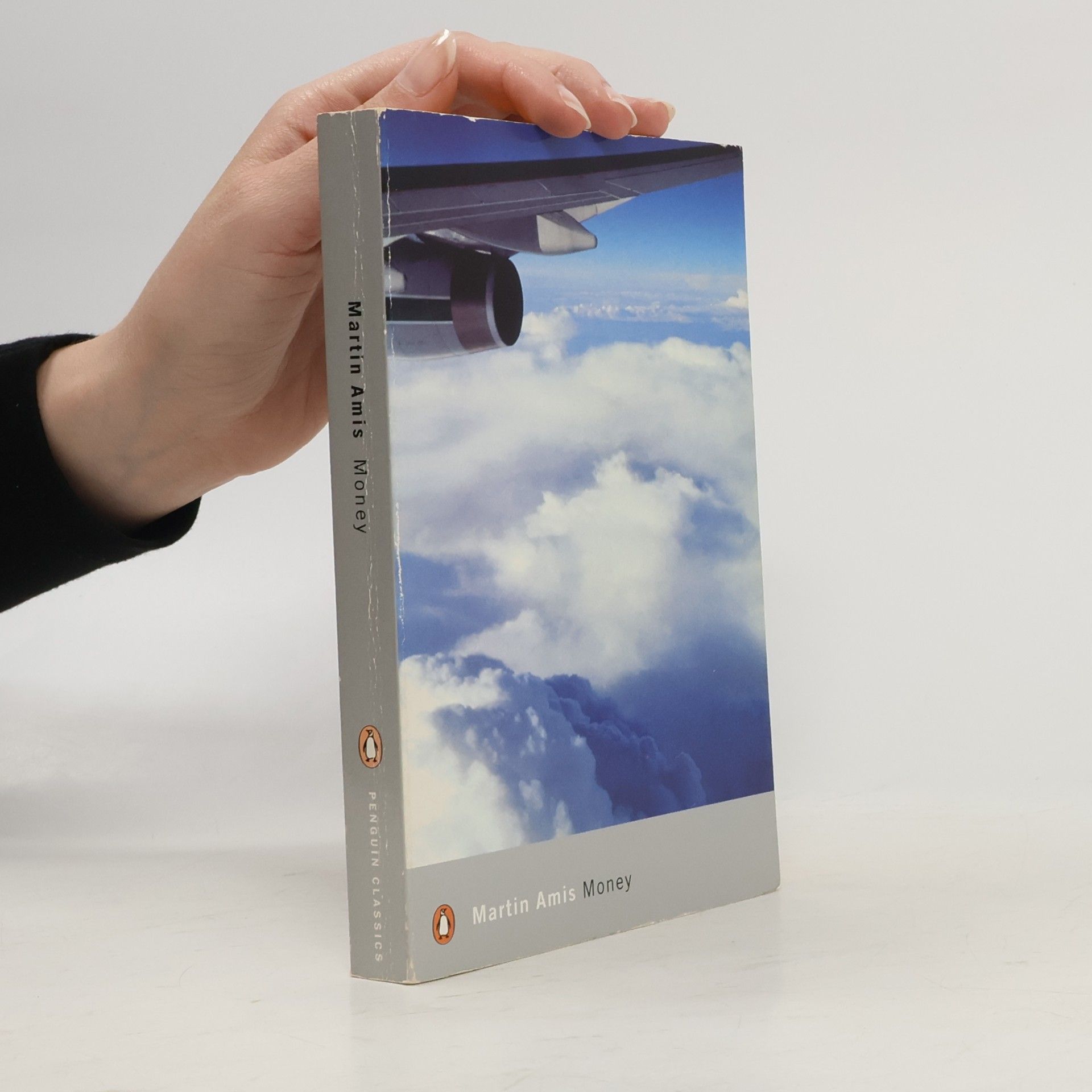 Martin Amis Money