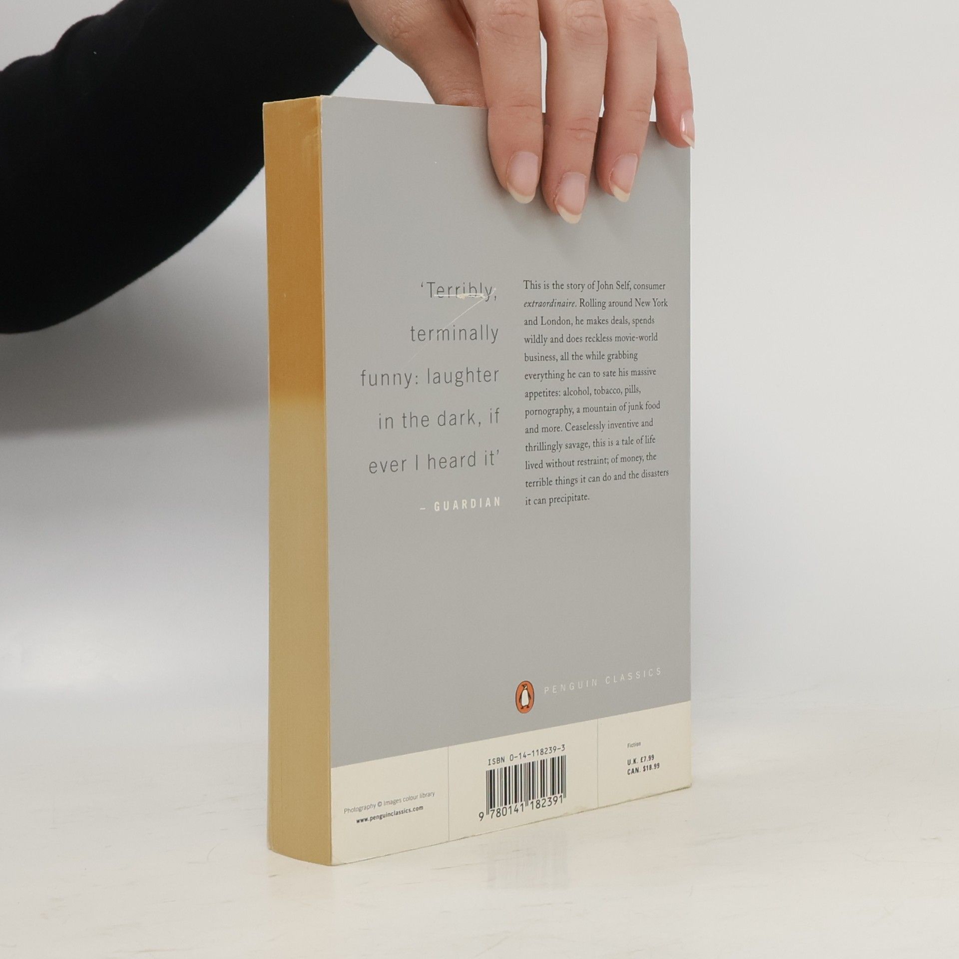 Martin Amis Money