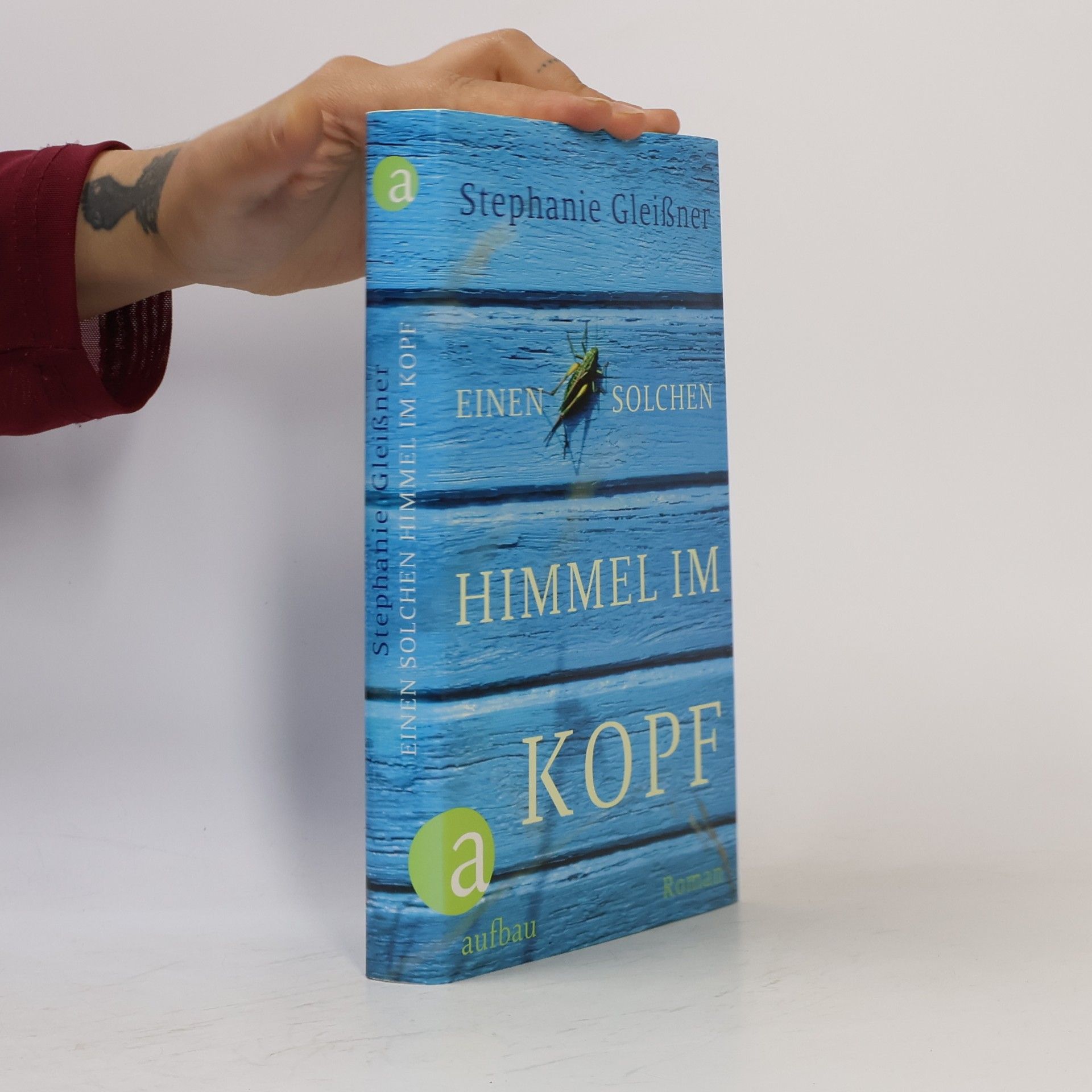 Stephanie Gleißner Einen solchen Himmel im Kopf