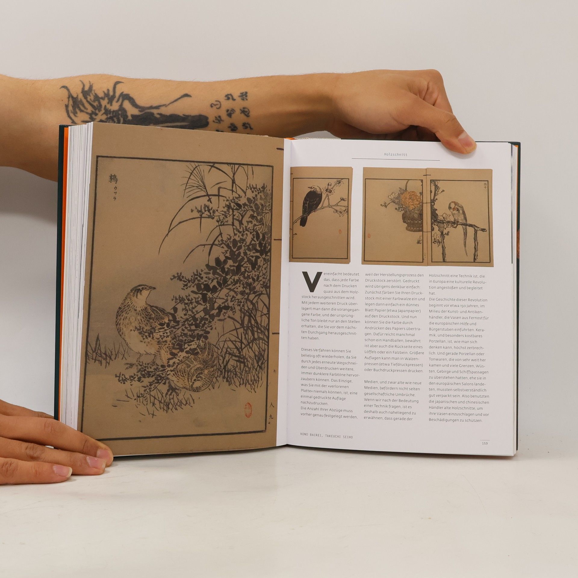 Felix Scheinberger Illustration: 100 Wege einen Vogel zu malen
