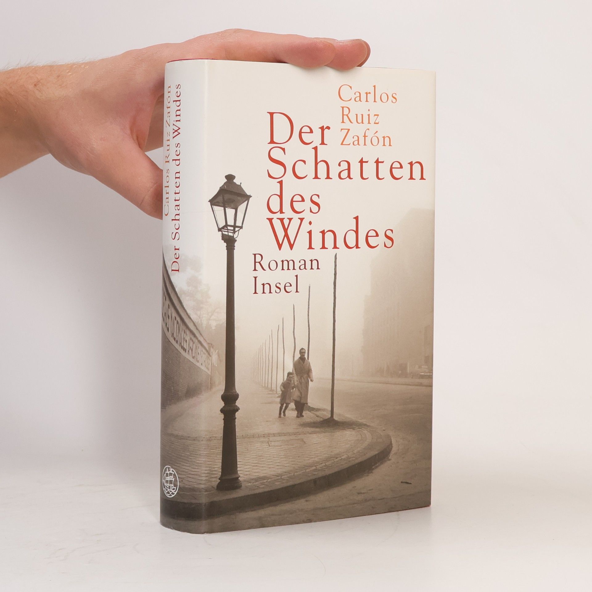 Carlos Ruiz Safon Der Schatten des Windes