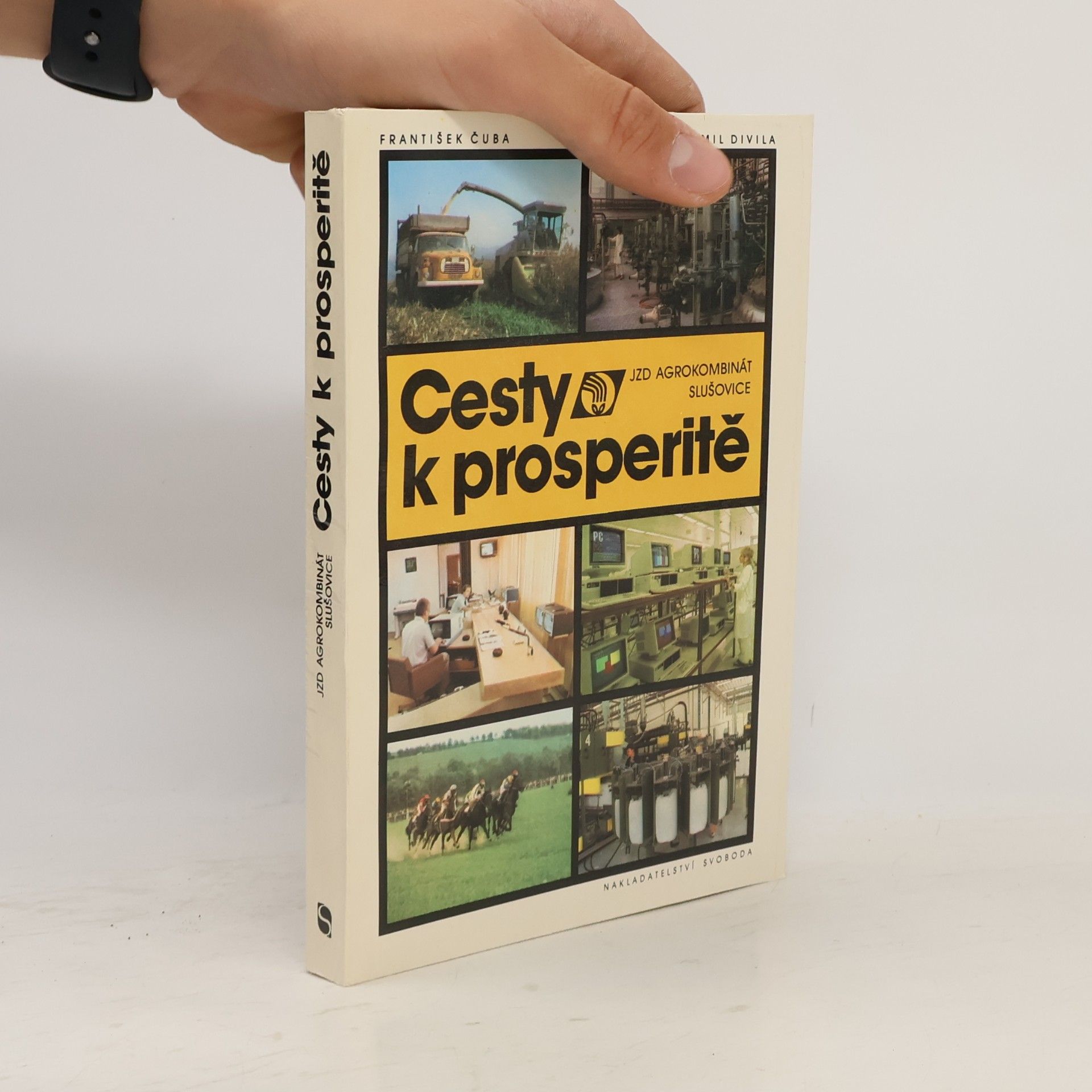 Cesty k prosperitě