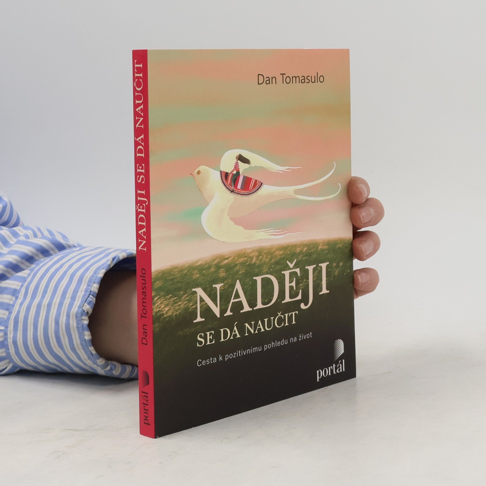 Daniel J. Tomasulo Naději se dá naučit : cesta k pozitivnímu pohledu na život