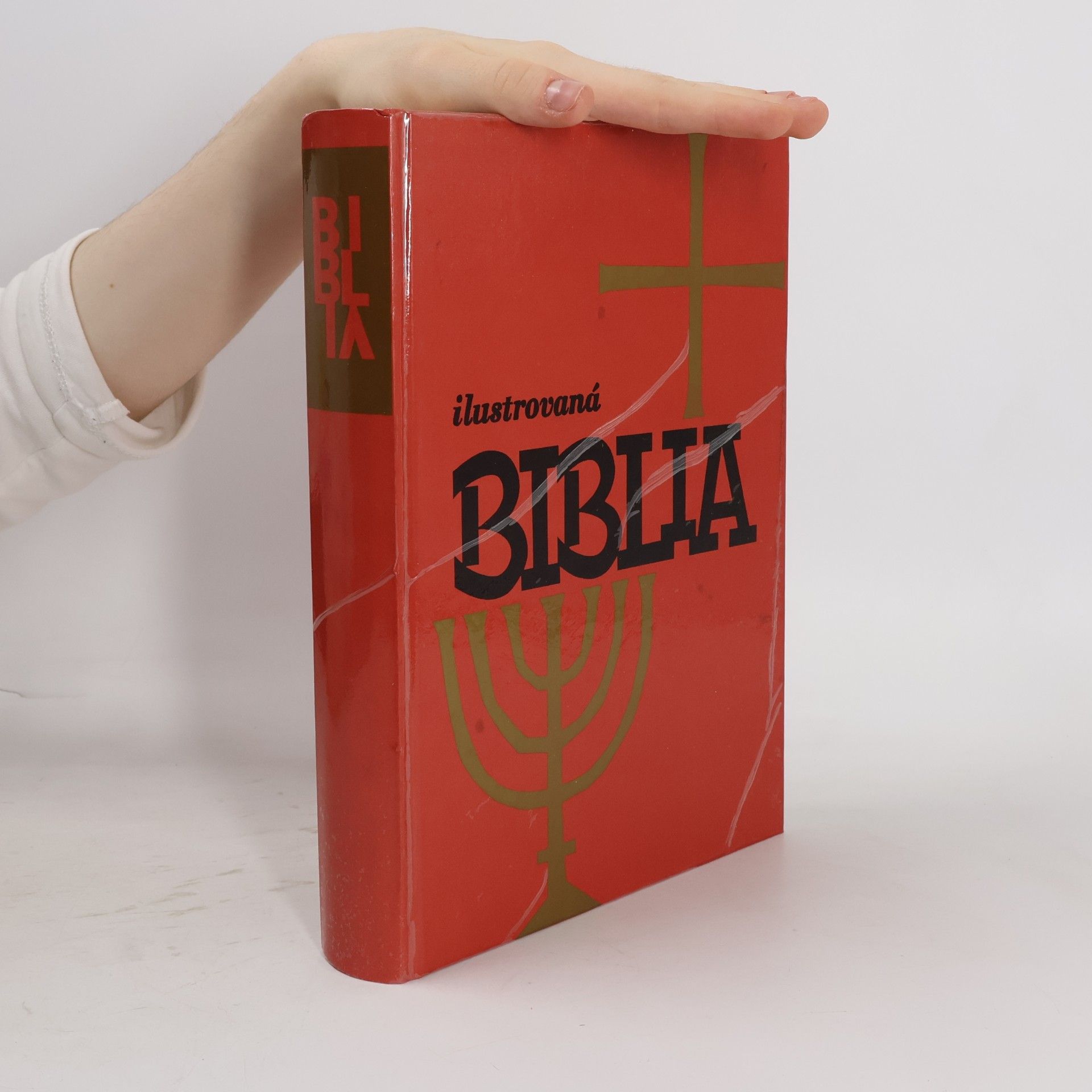 Autorenkollektiv Ilustrovaná biblia