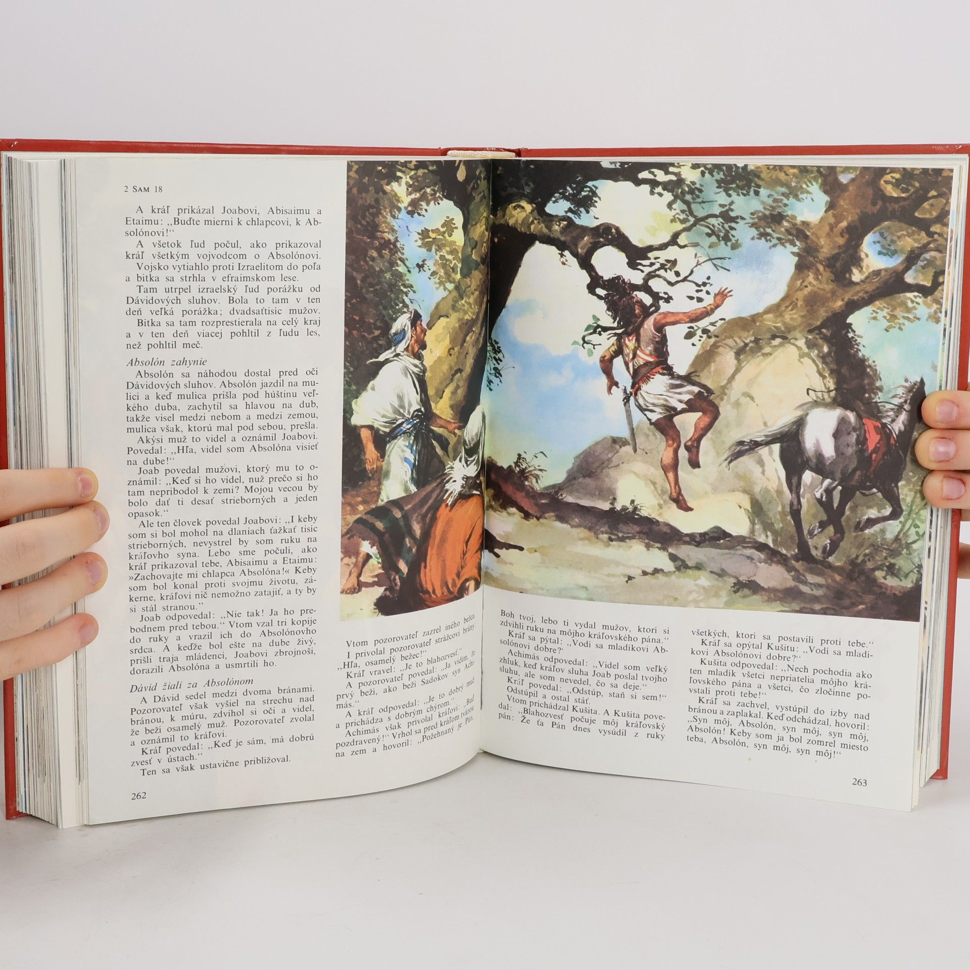 Autorenkollektiv Ilustrovaná biblia