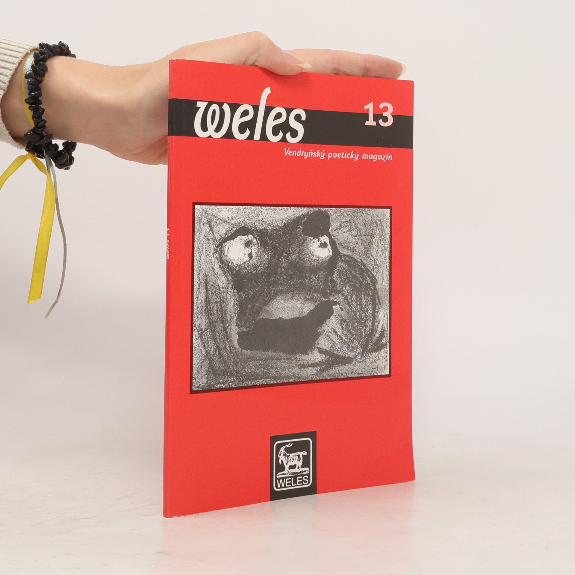 Kolektiv autorů Weles, vendryňský poetický magazín 13