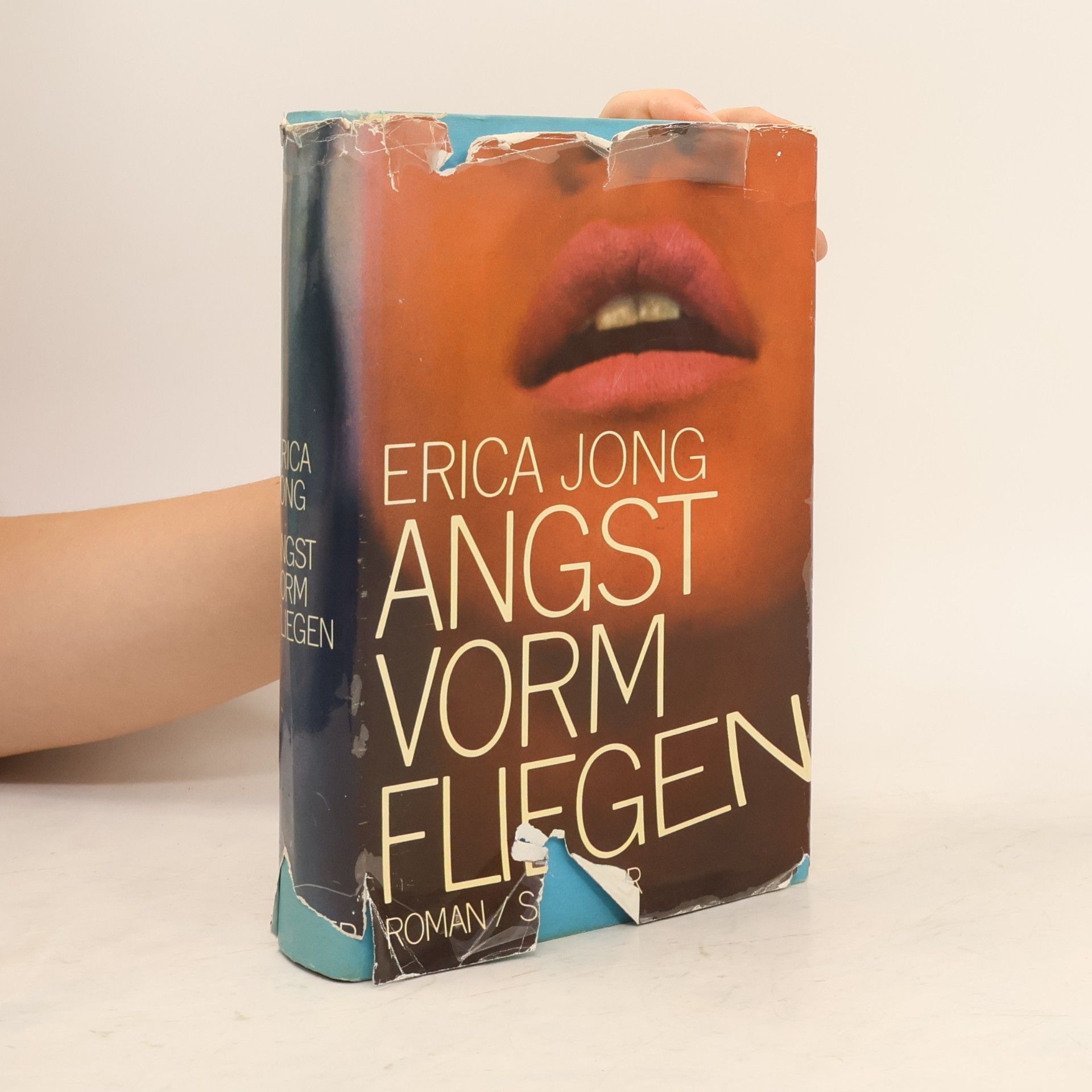 Erica Jong Angst vorm Fliegen