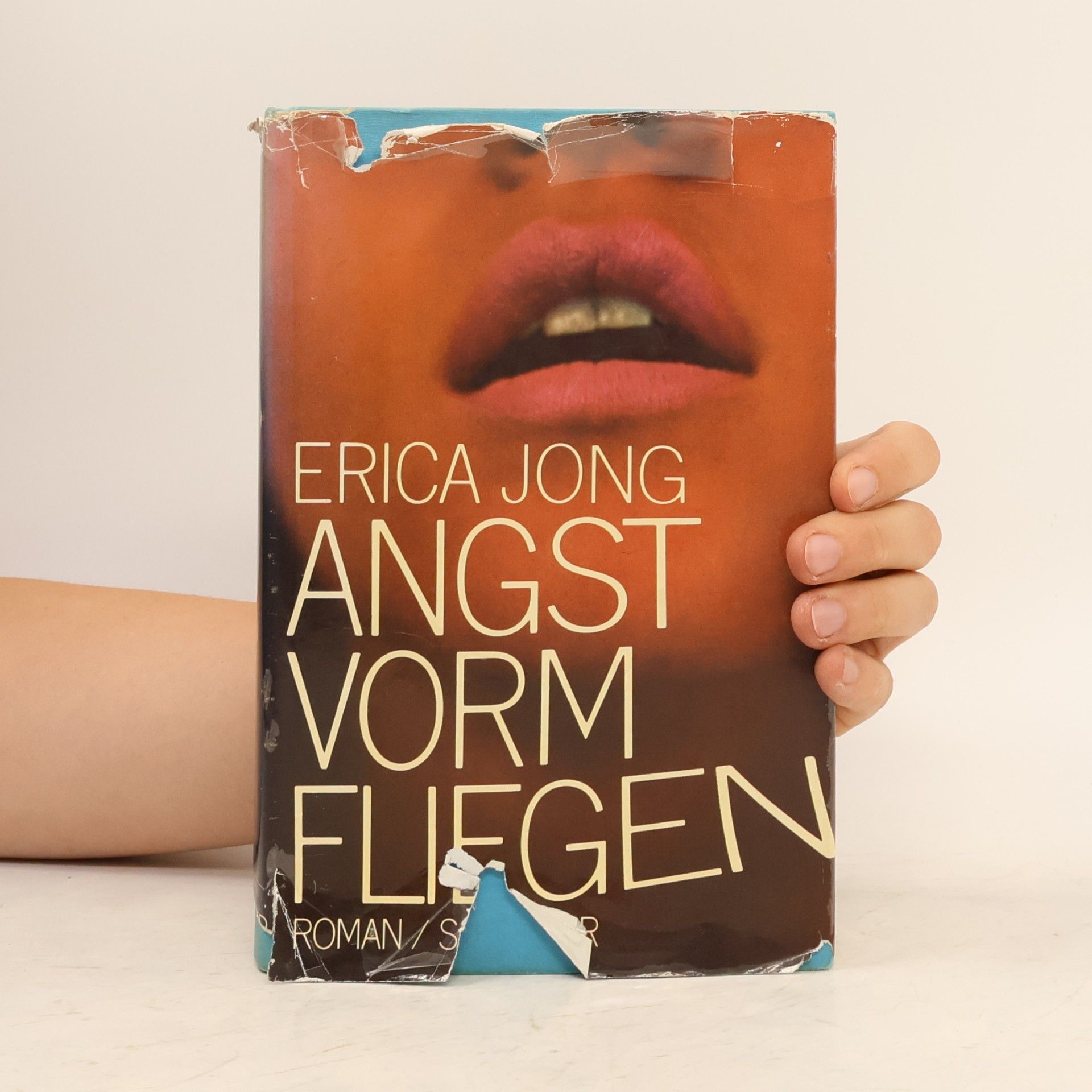 Erica Jong Angst vorm Fliegen