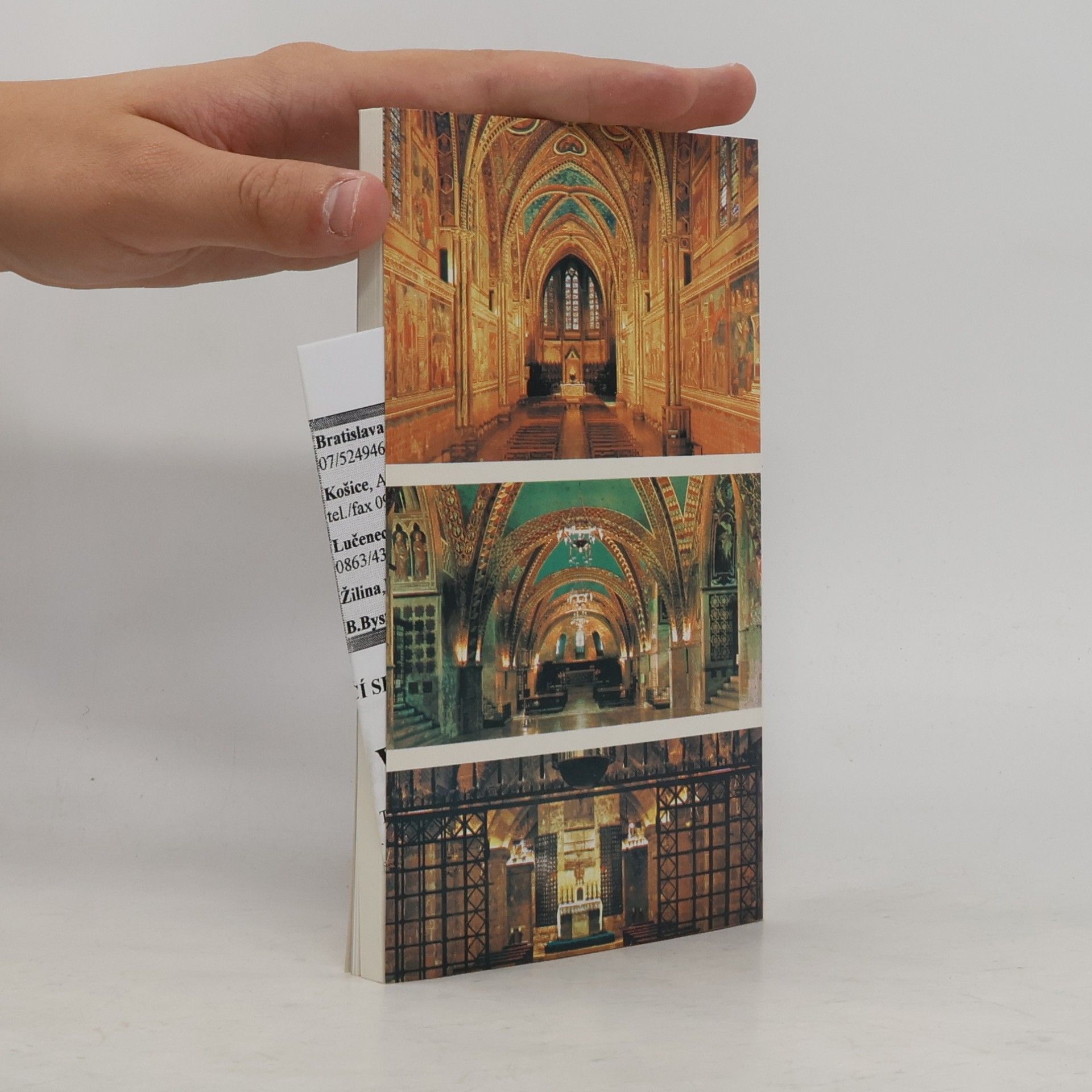 Théophile Desbonnets Po stopách sv. Františka z Assisi