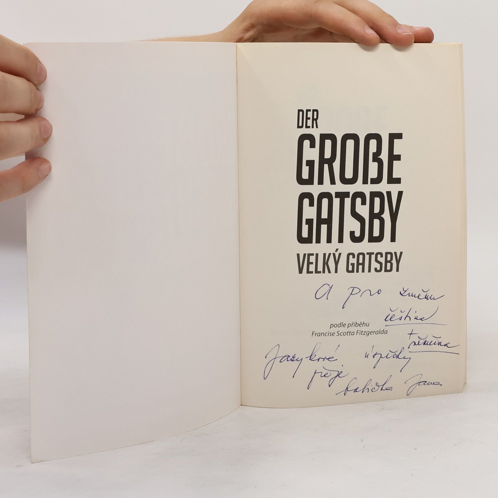 Katharina Leither Der große Gatsby. Velký Gatsby