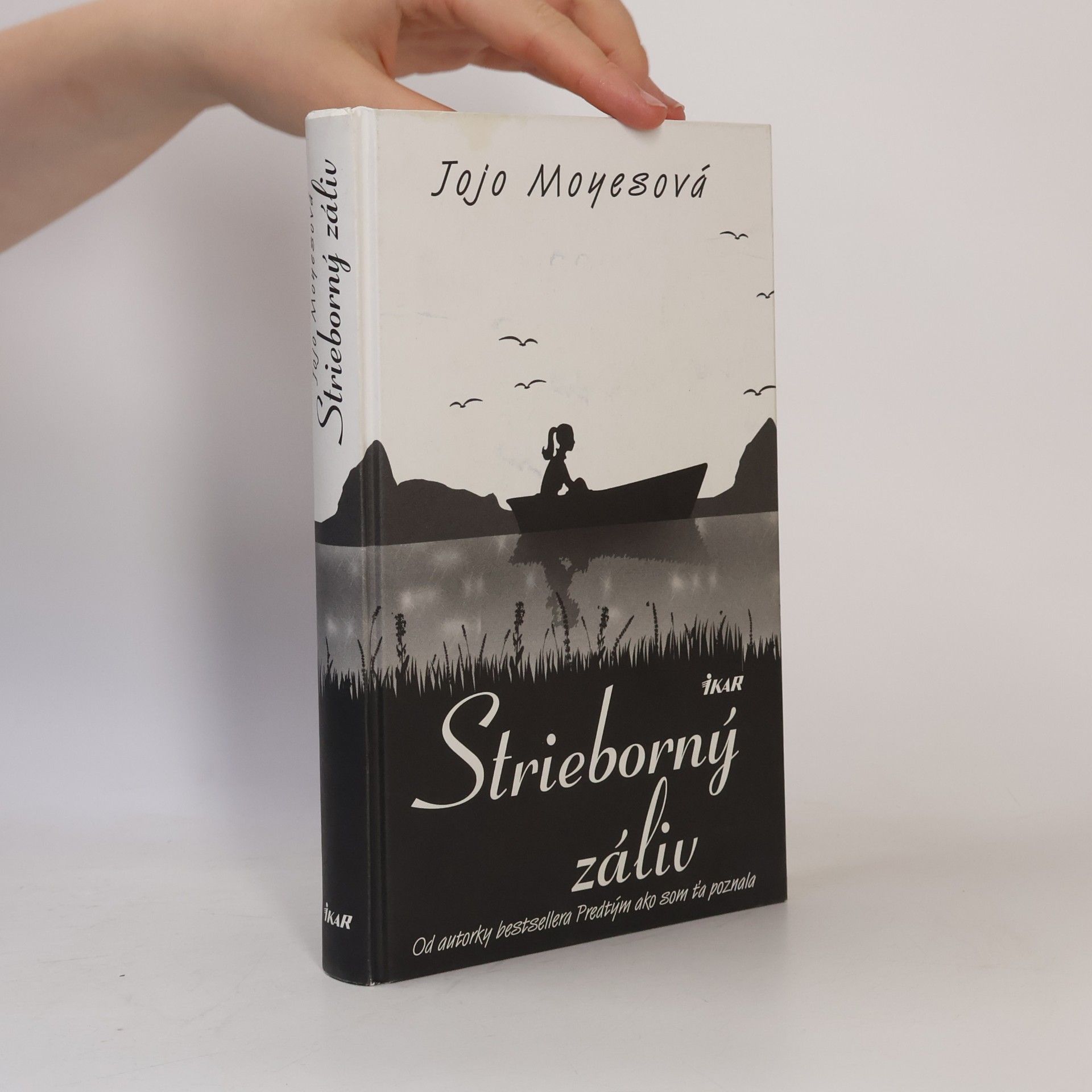 Jojo Moyes Strieborný záliv