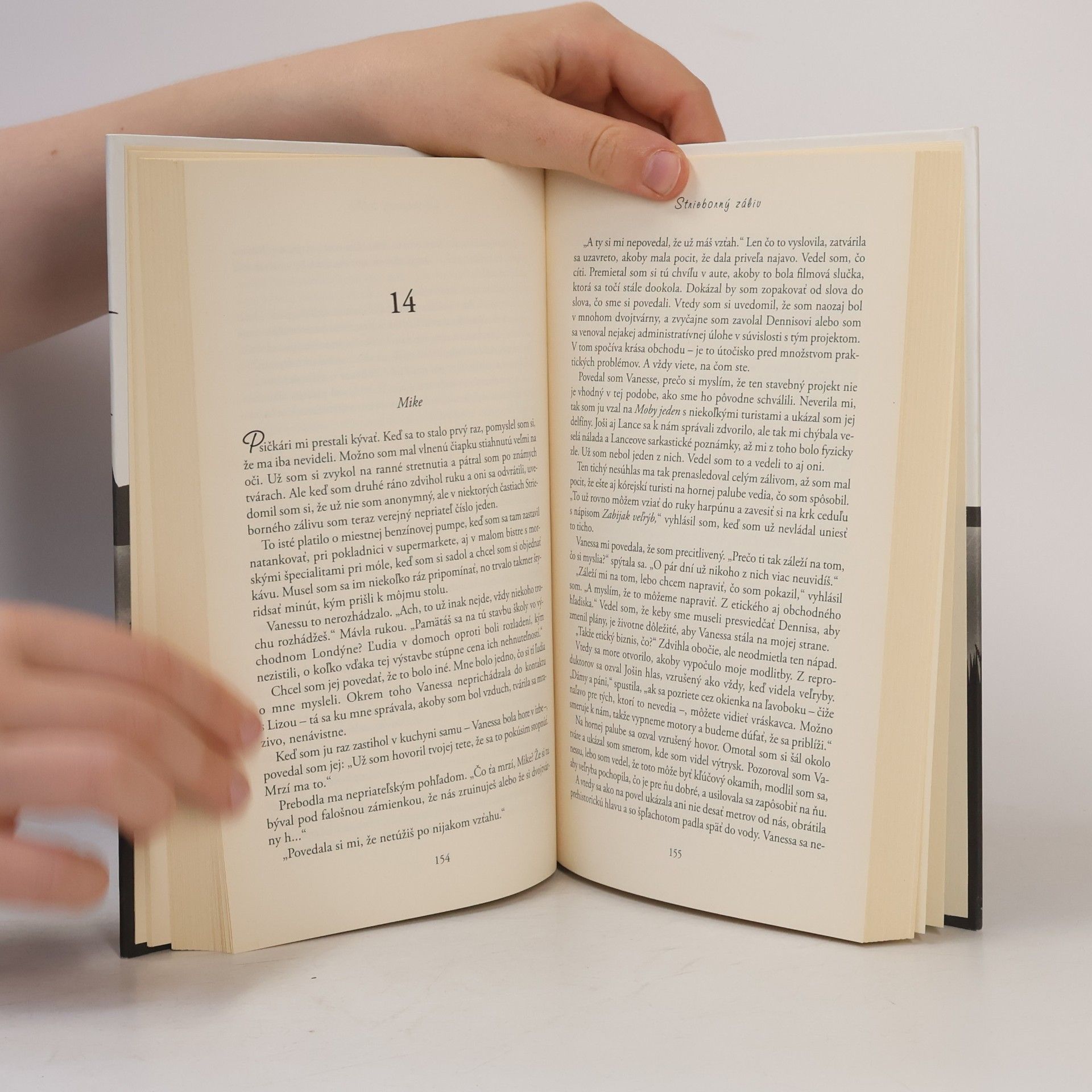 Jojo Moyes Strieborný záliv