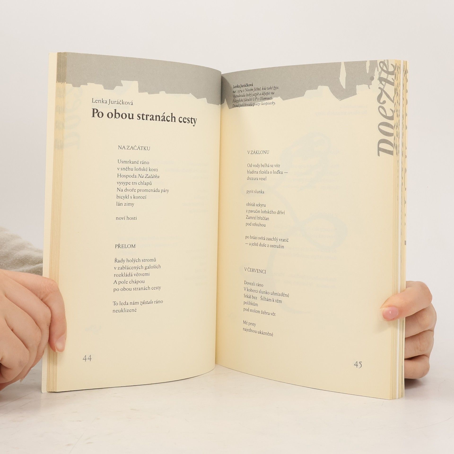 Kolektiv autorů Weles 23