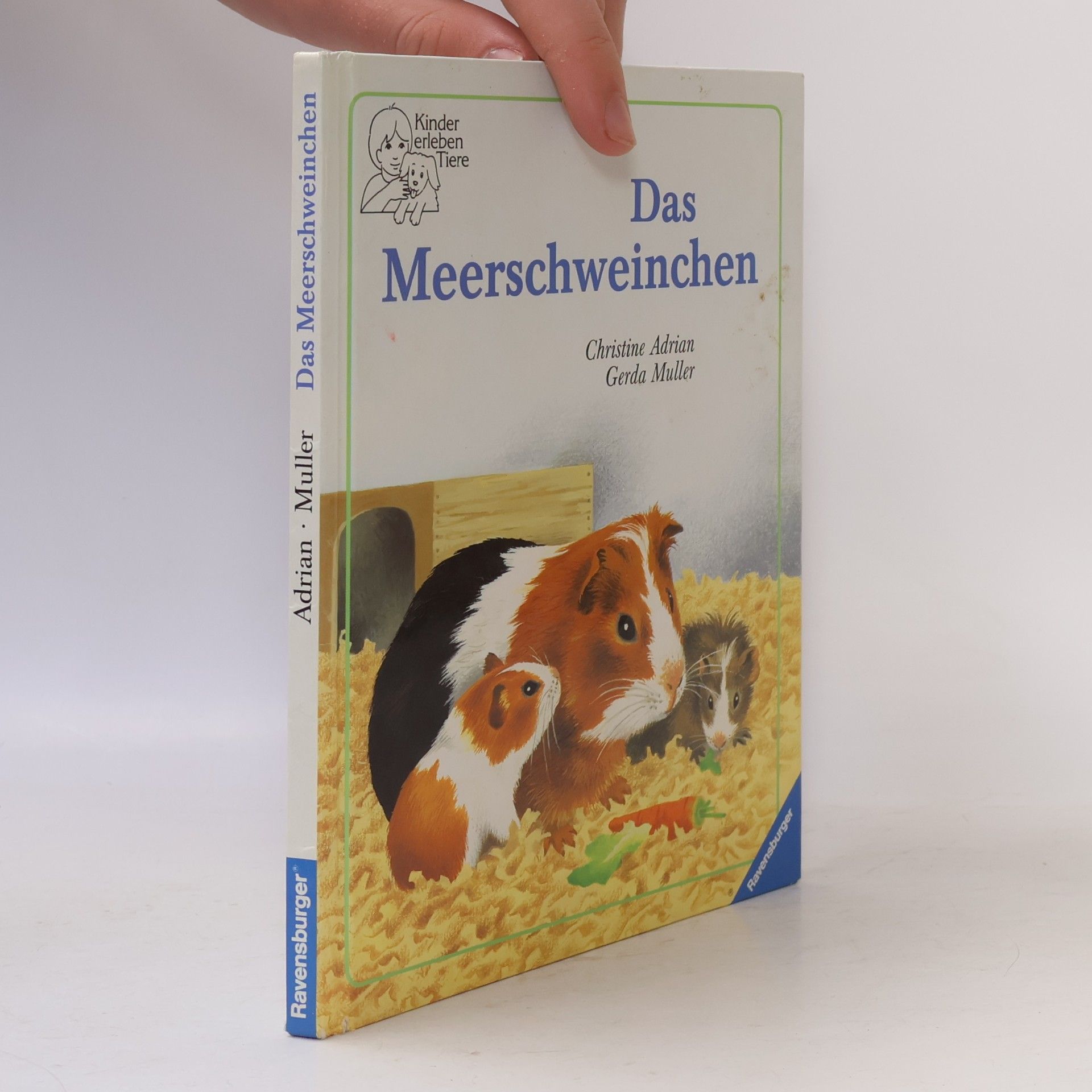 Christine Adrian Das Meerschweinchen