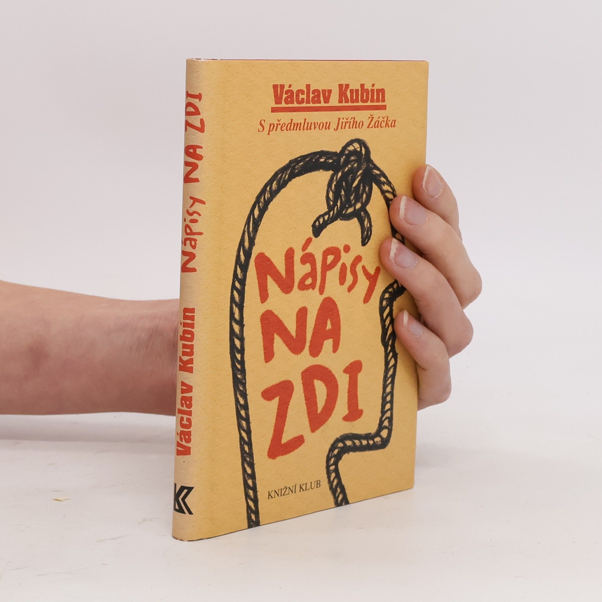 Václav Kubín Nápisy na zdi. Metaforismy, aforismy, postřehy