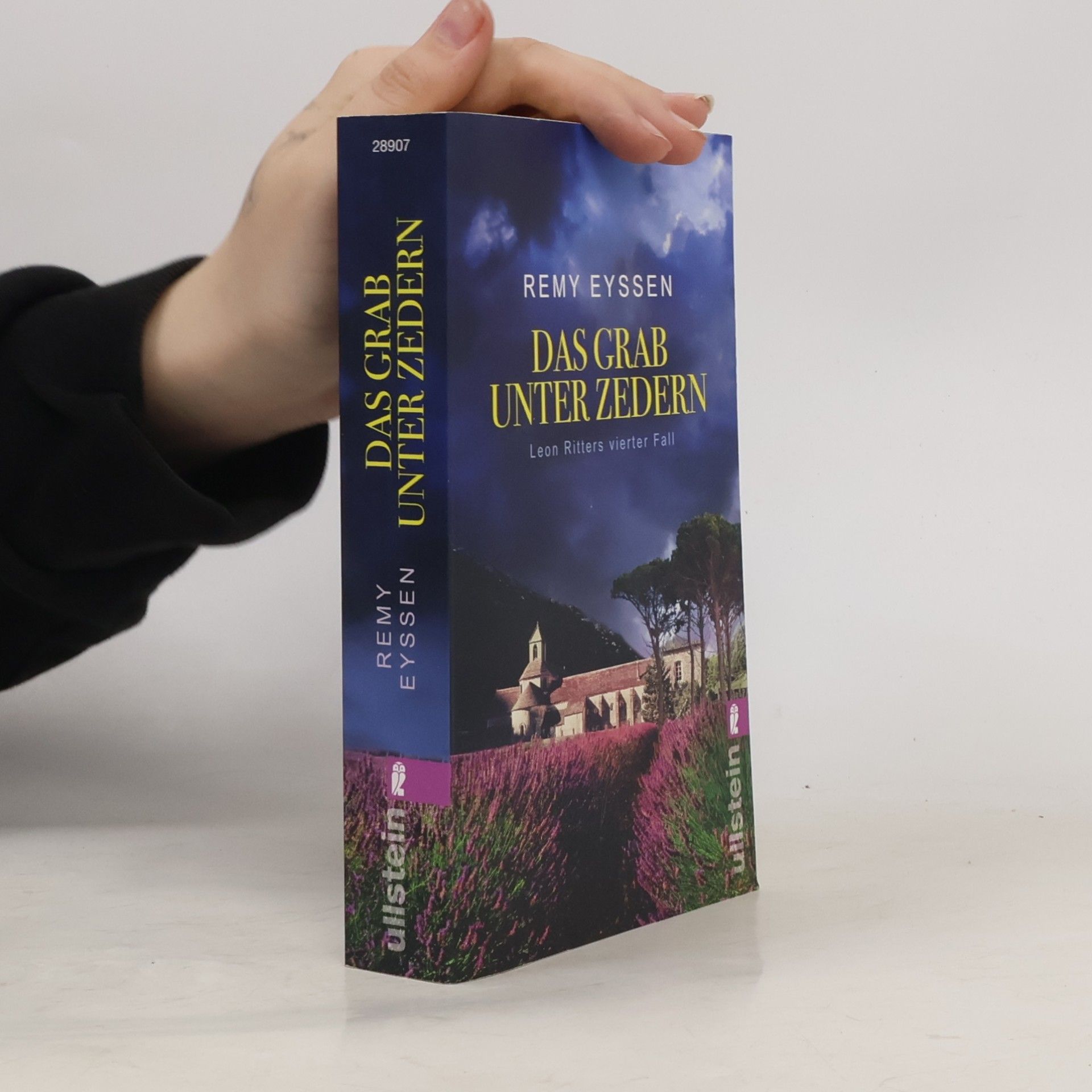 Remy Eyssen Das Grab unter Zedern