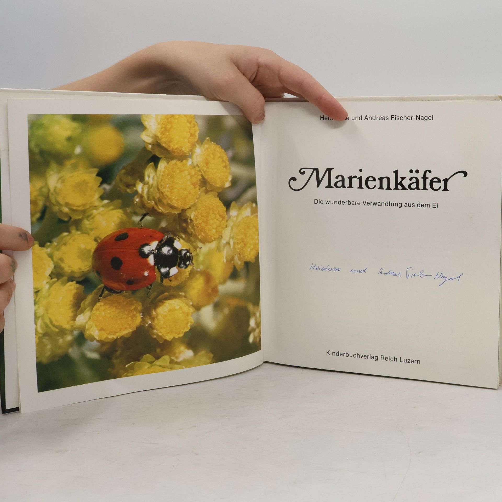 Heiderose Fischer-Nagel Marienkäfer. Die wunderbare Verwandlung aus dem Ei