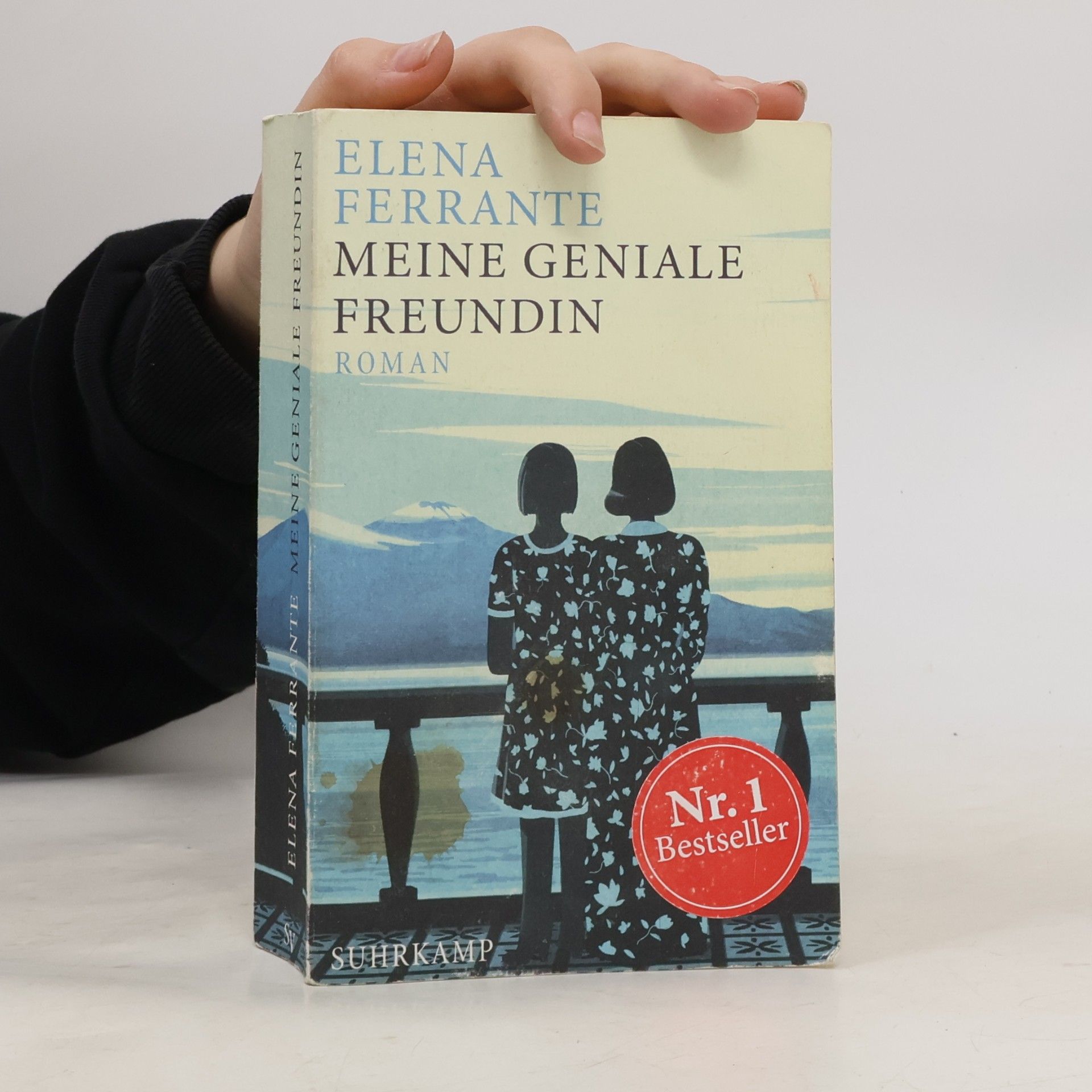Elena Ferrante Meine geniale Freundin