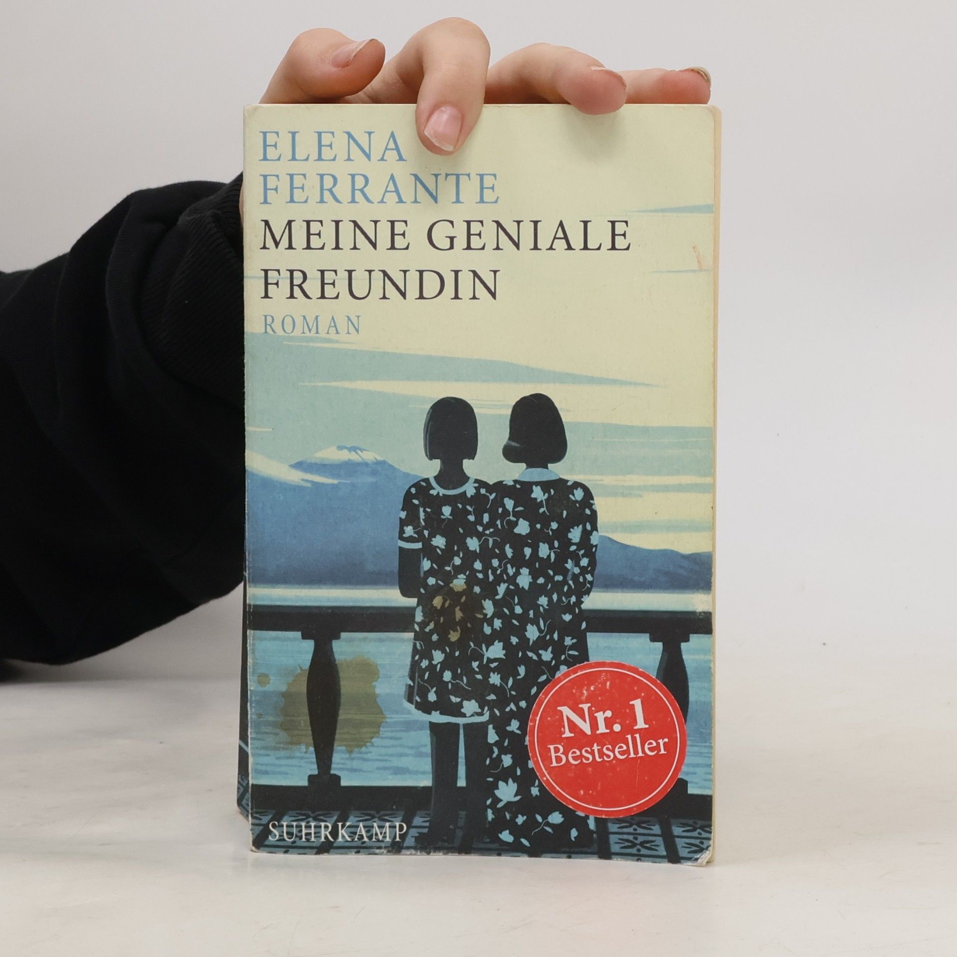 Elena Ferrante Meine geniale Freundin