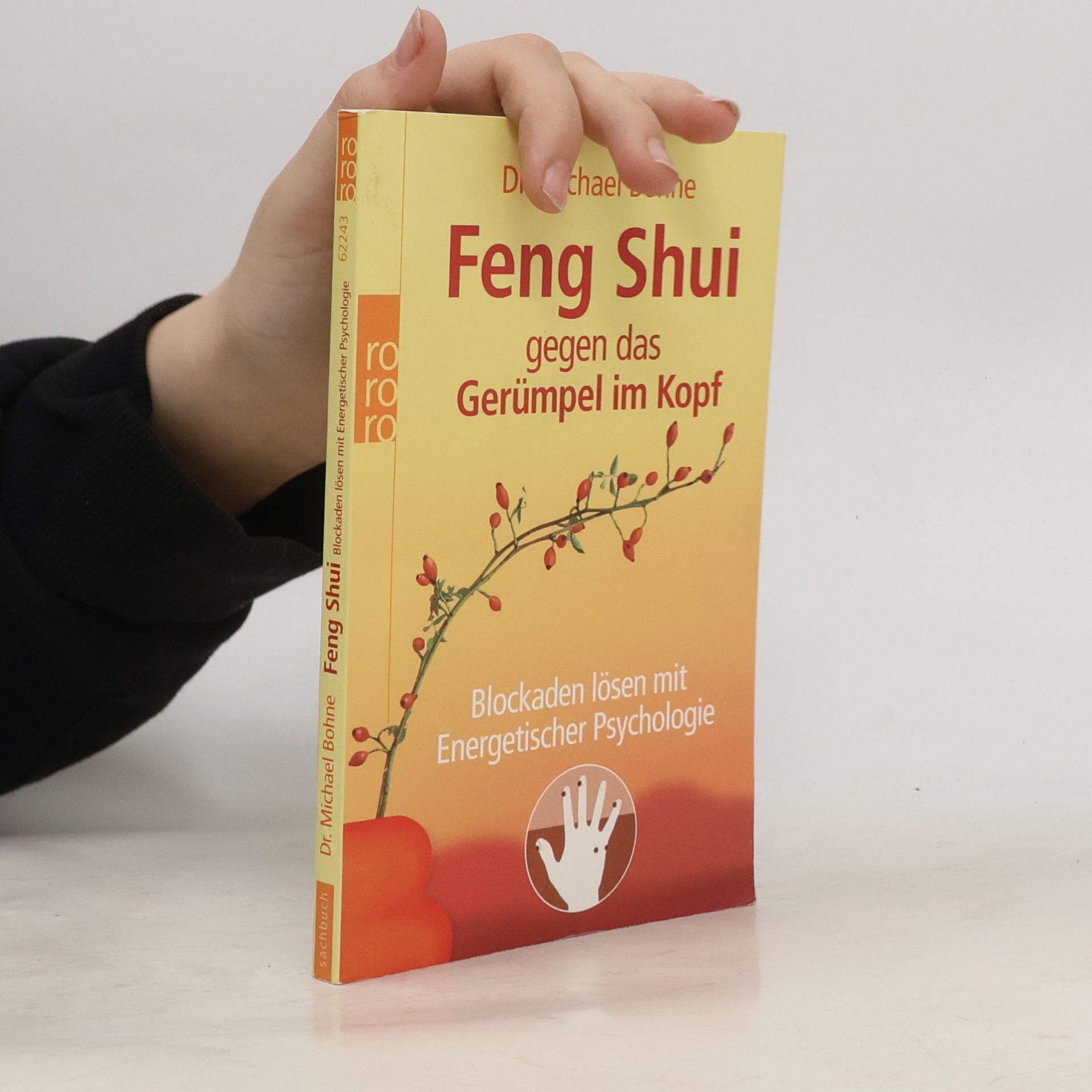 Michael Bohne Feng-Shui gegen das Gerümpel im Kopf