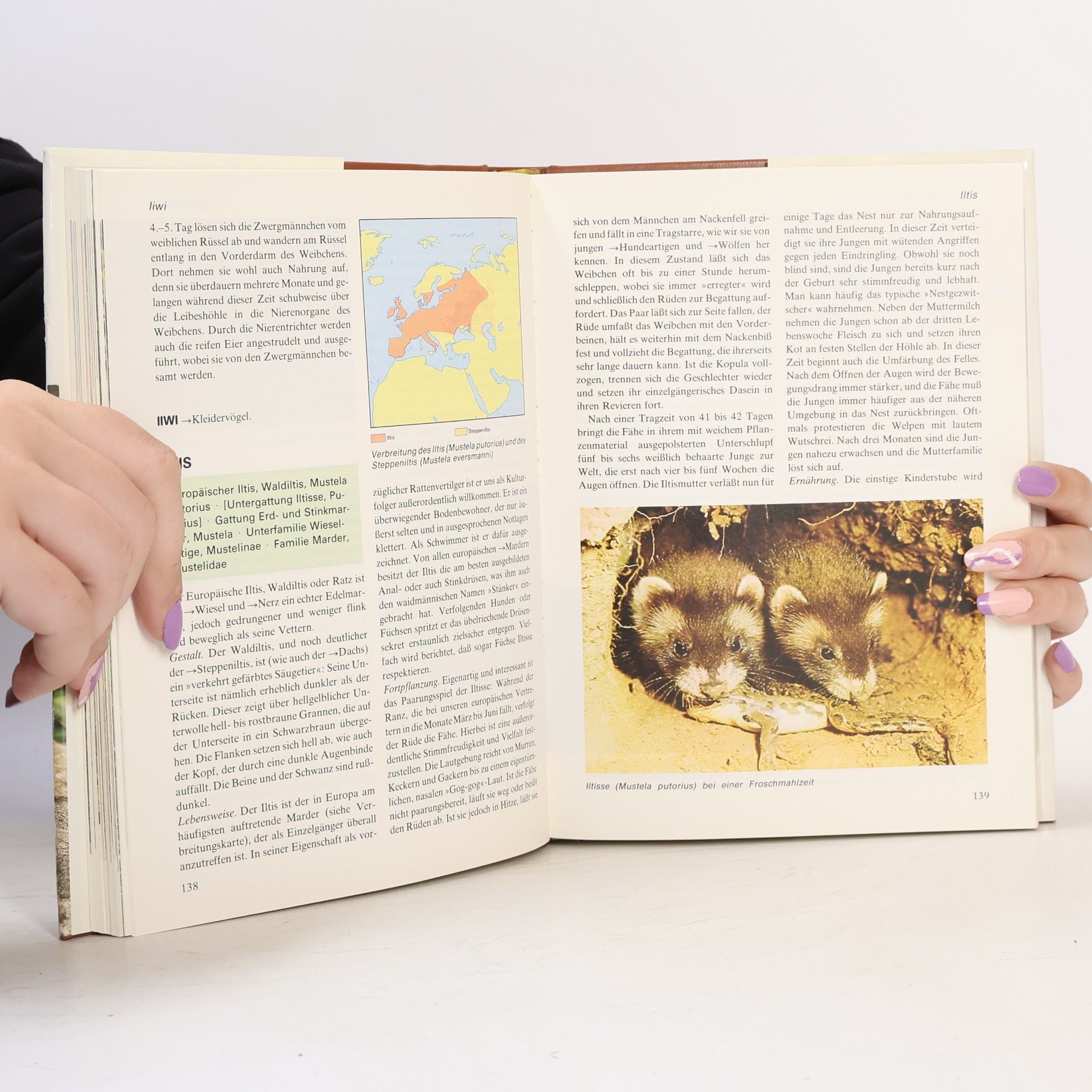Kolektív autorov Das moderne Tierlexikon 5 Herk-Kle