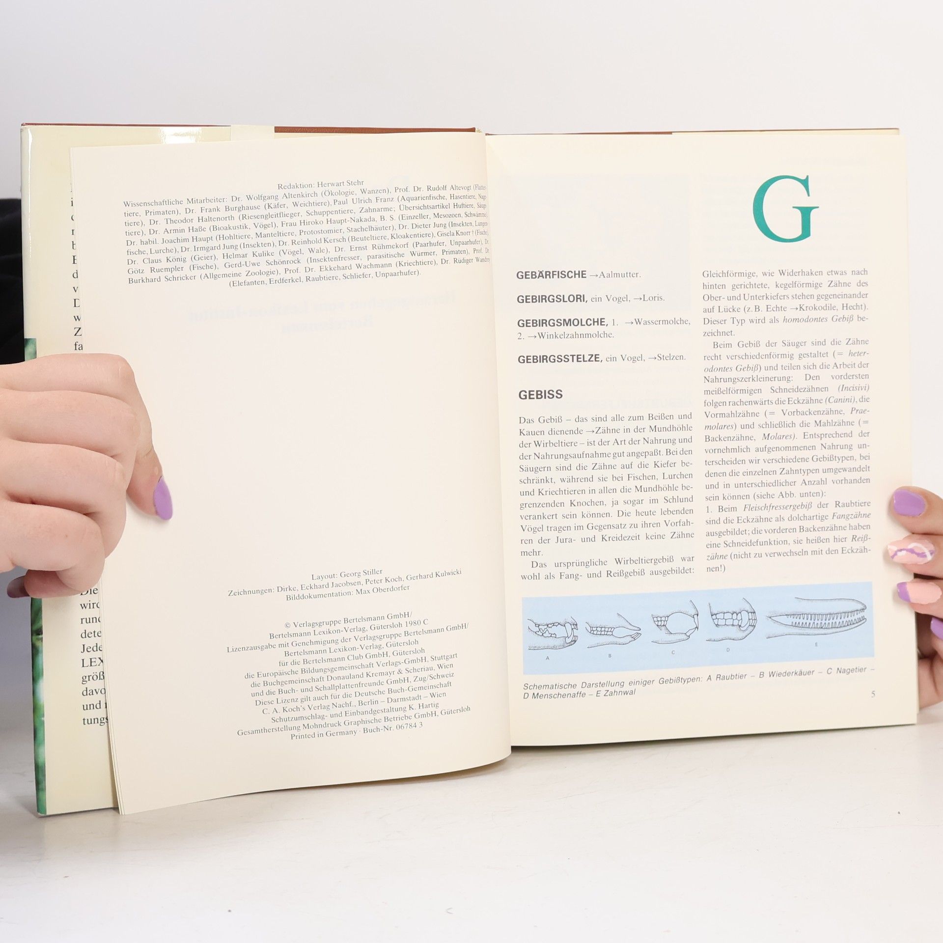 Kolektív autorov Das moderne Tierlexikon 4. Geb-Herí