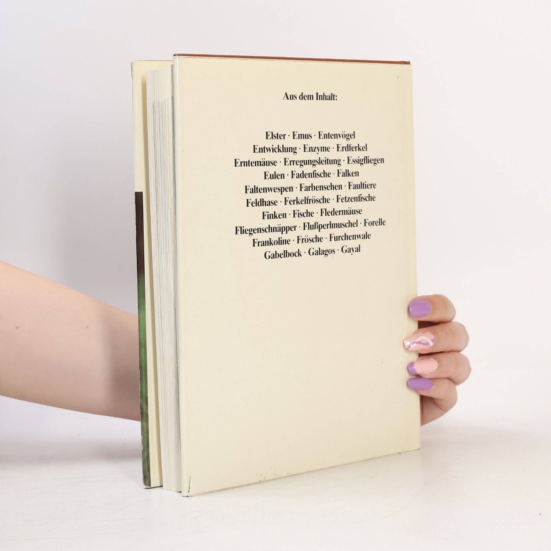 Collectif d'auteurs Das moderne Tierlexikon 3. Els-Gaz