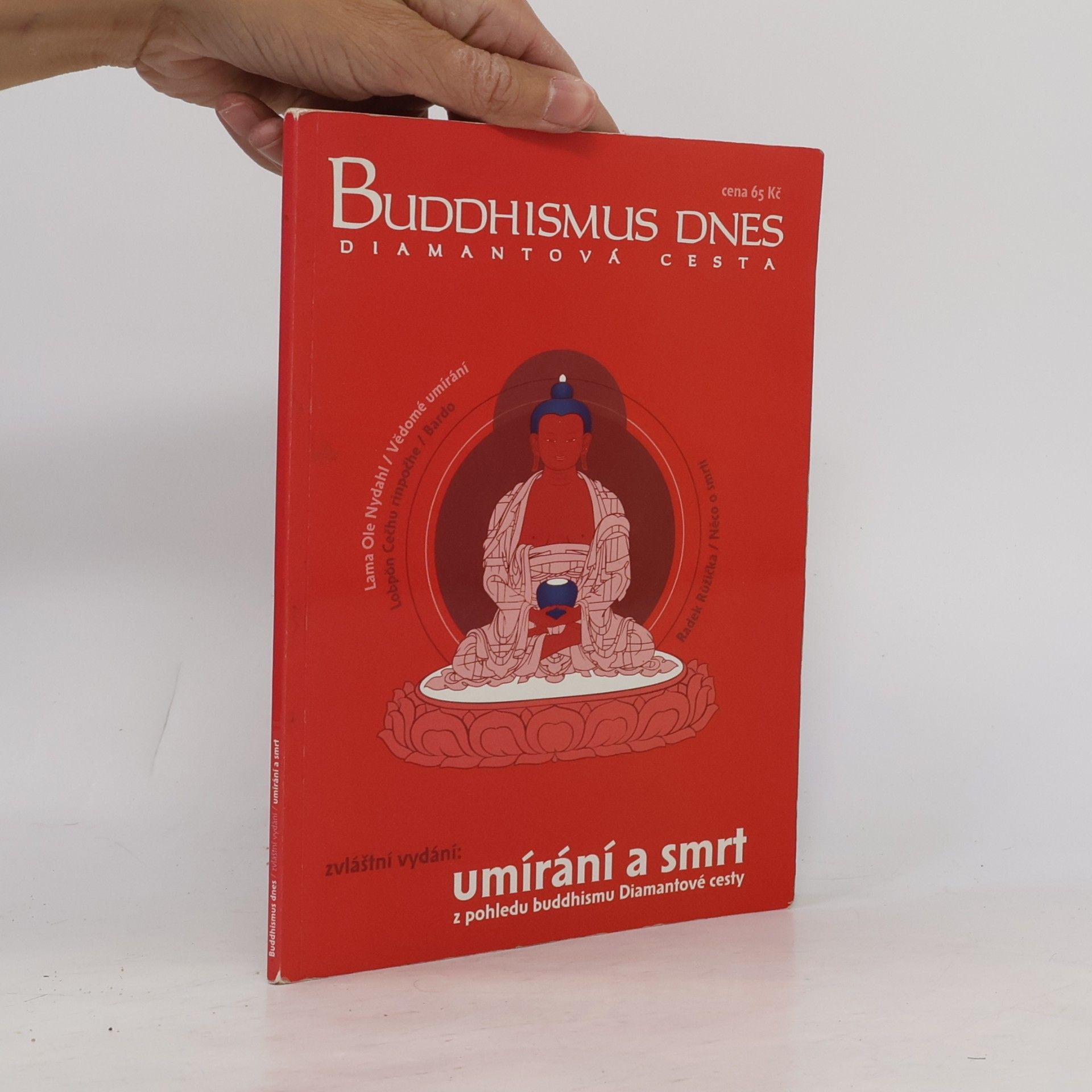 Collectif d'auteurs Buddhismus dnes. Umírání a smrt z pohledu buddhismu Diamantové cesty