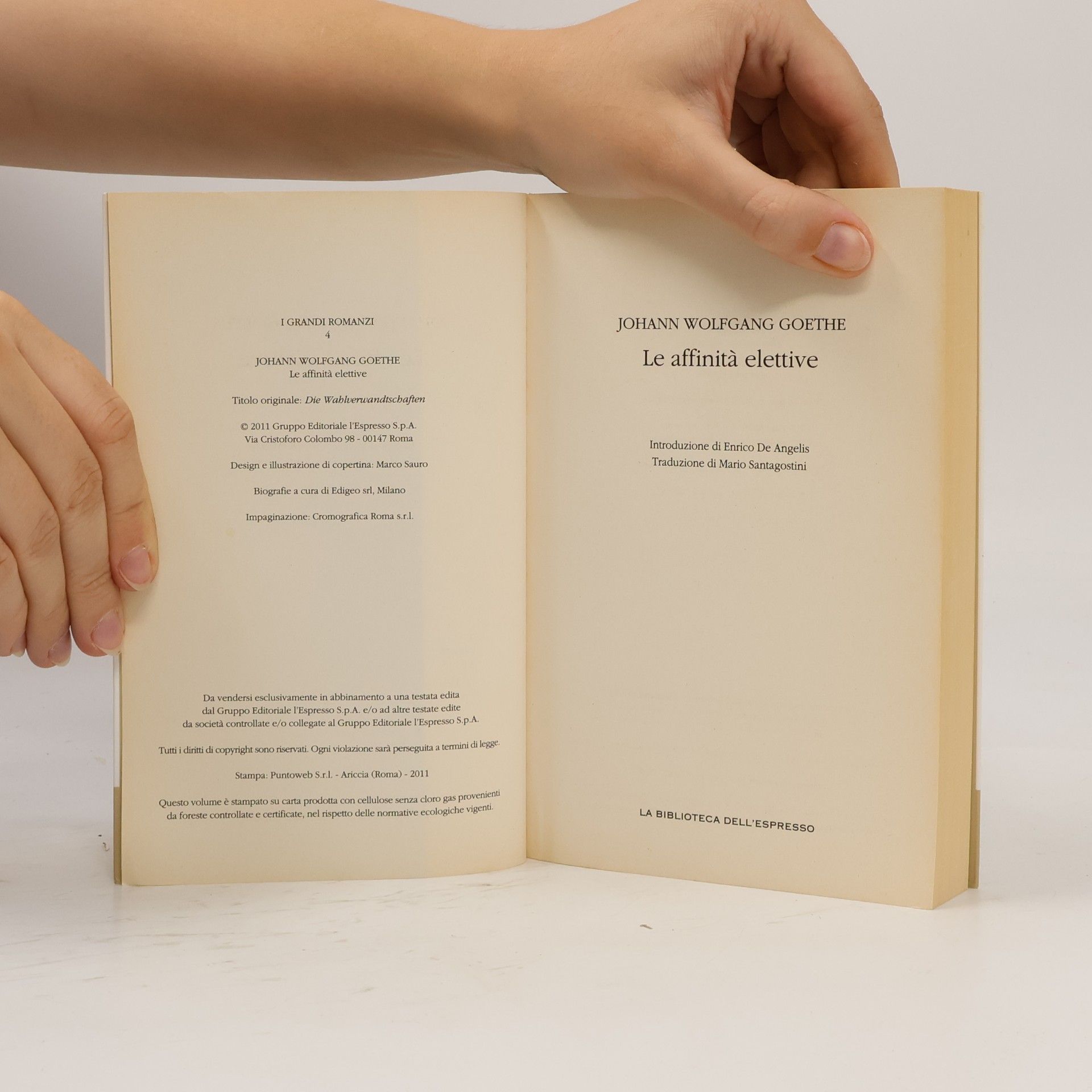 Johann Wolfgang von Goethe Le affinità elettive