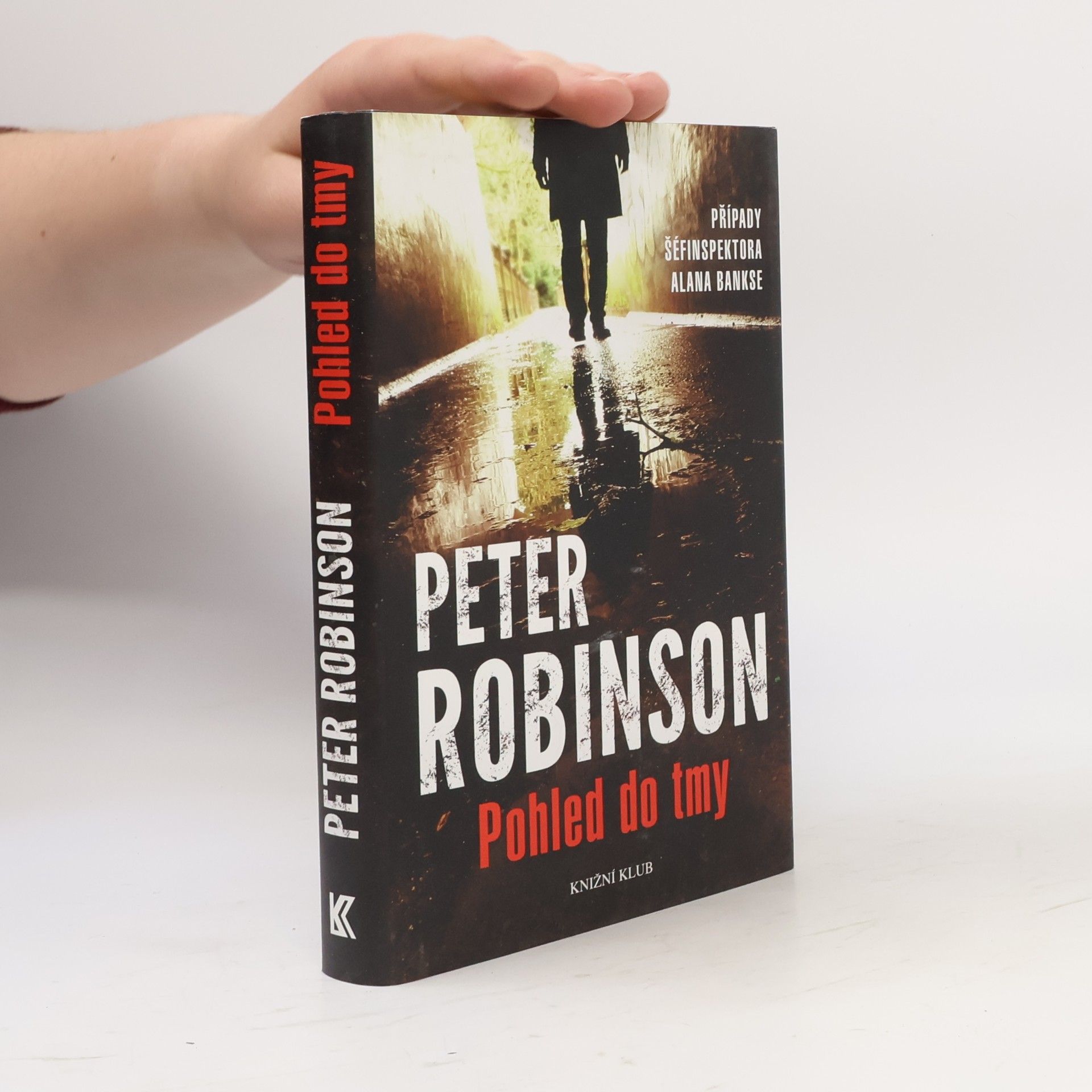Peter Robinson Pohled do tmy
