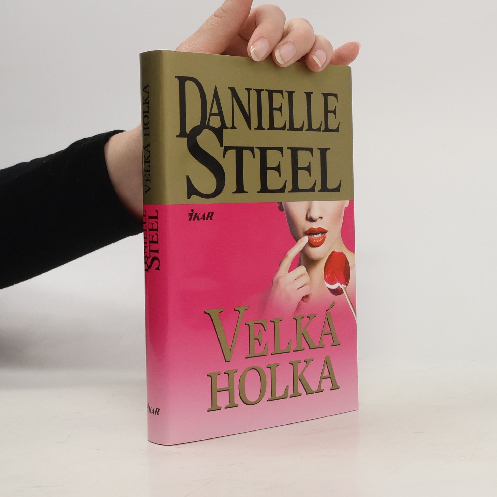 Danielle Steel Velká holka