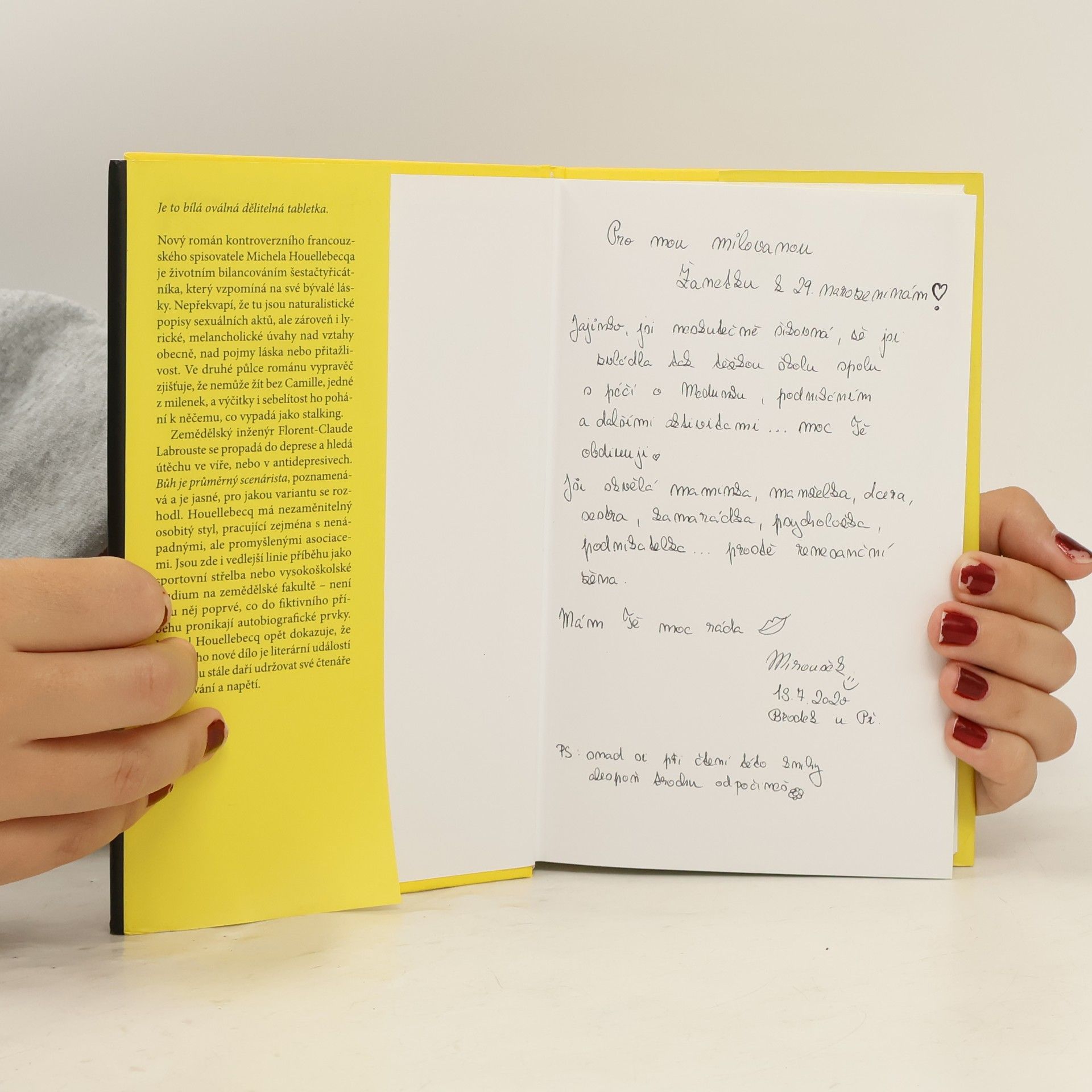 Michel Houellebecq Serotonin
