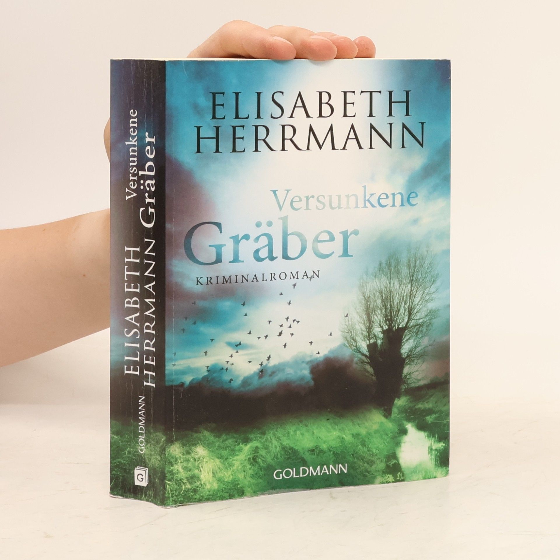 Elisabeth Hermann Versunkene Gräber