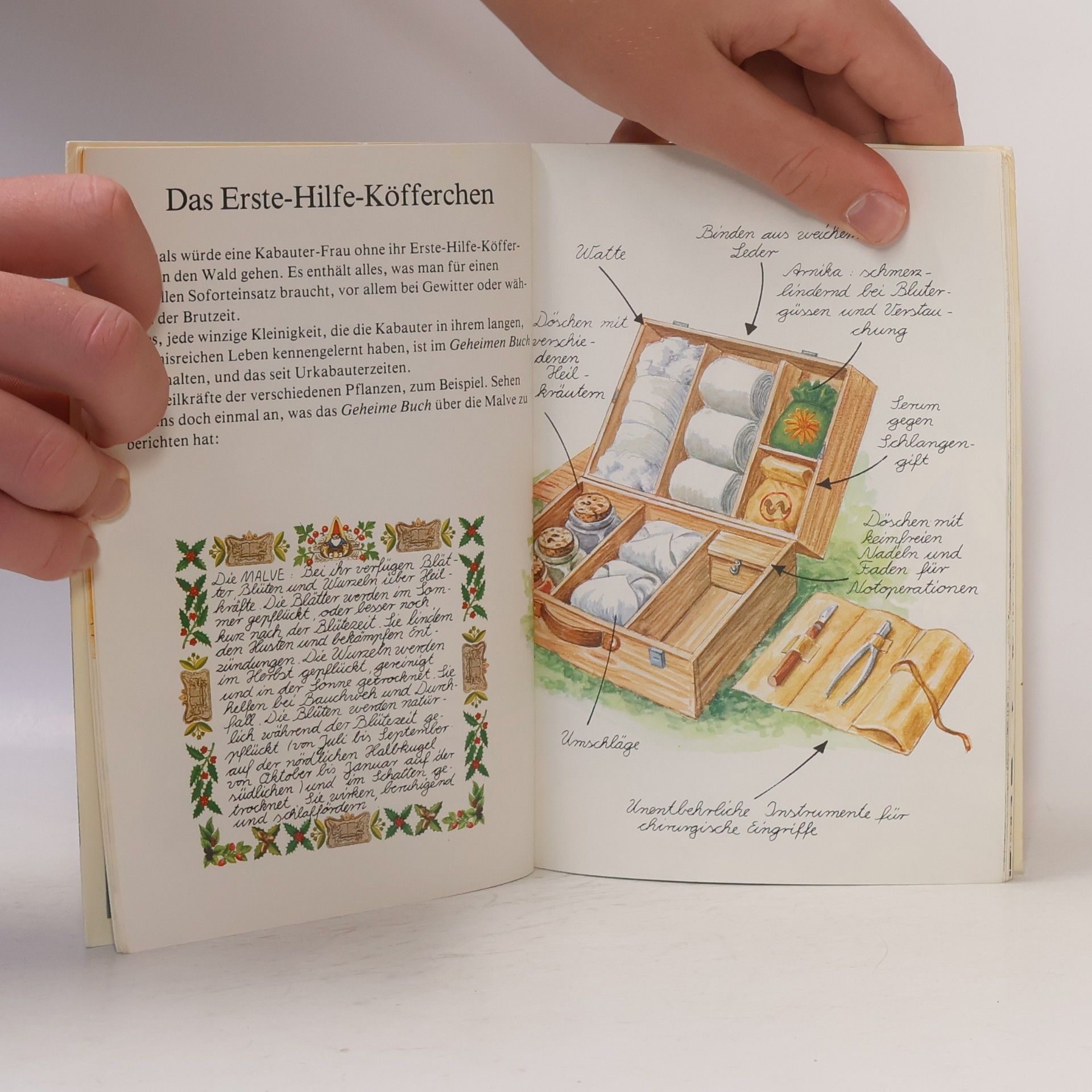 Autorenkollektiv Das geheime Buch der Kabauter 2