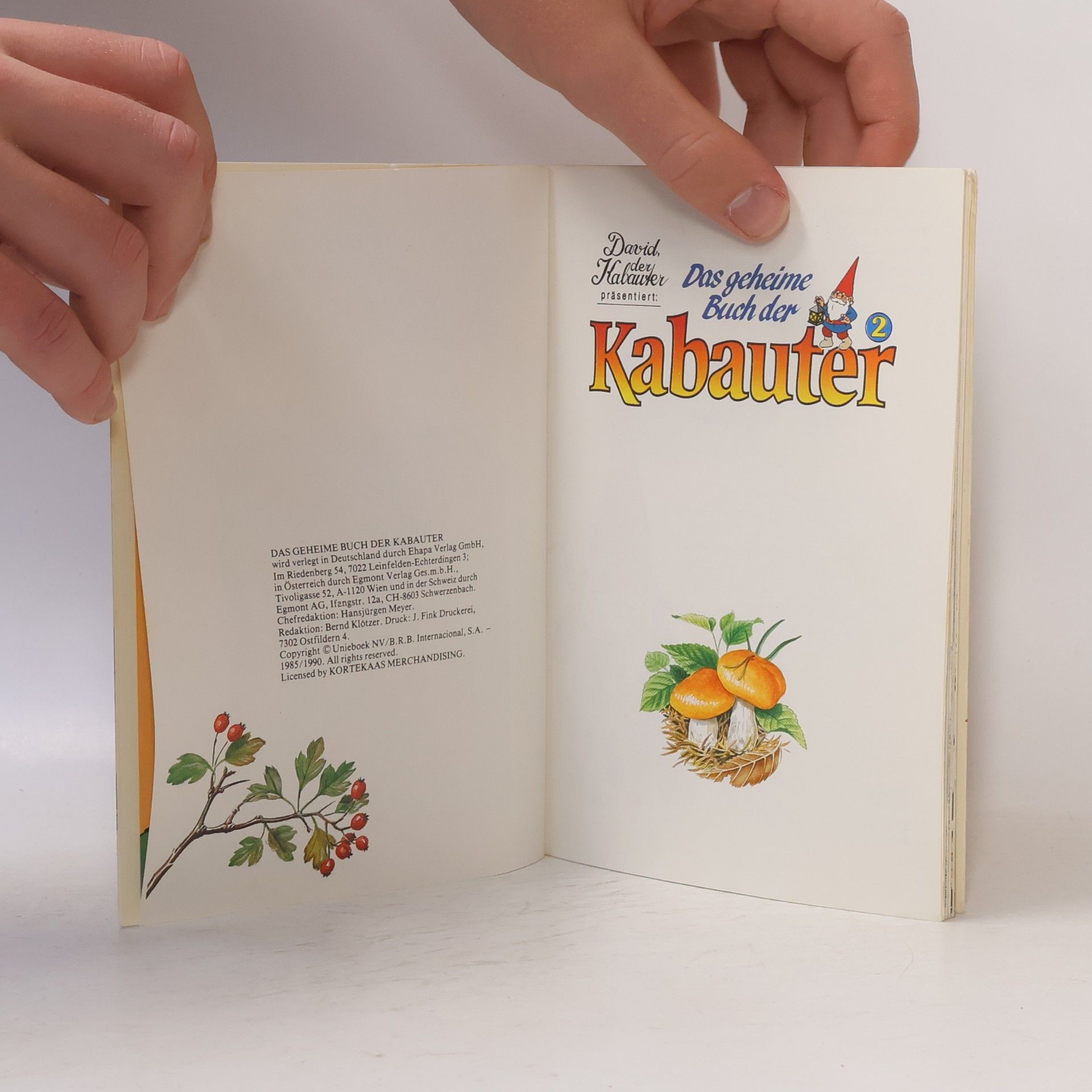 Autorenkollektiv Das geheime Buch der Kabauter 2