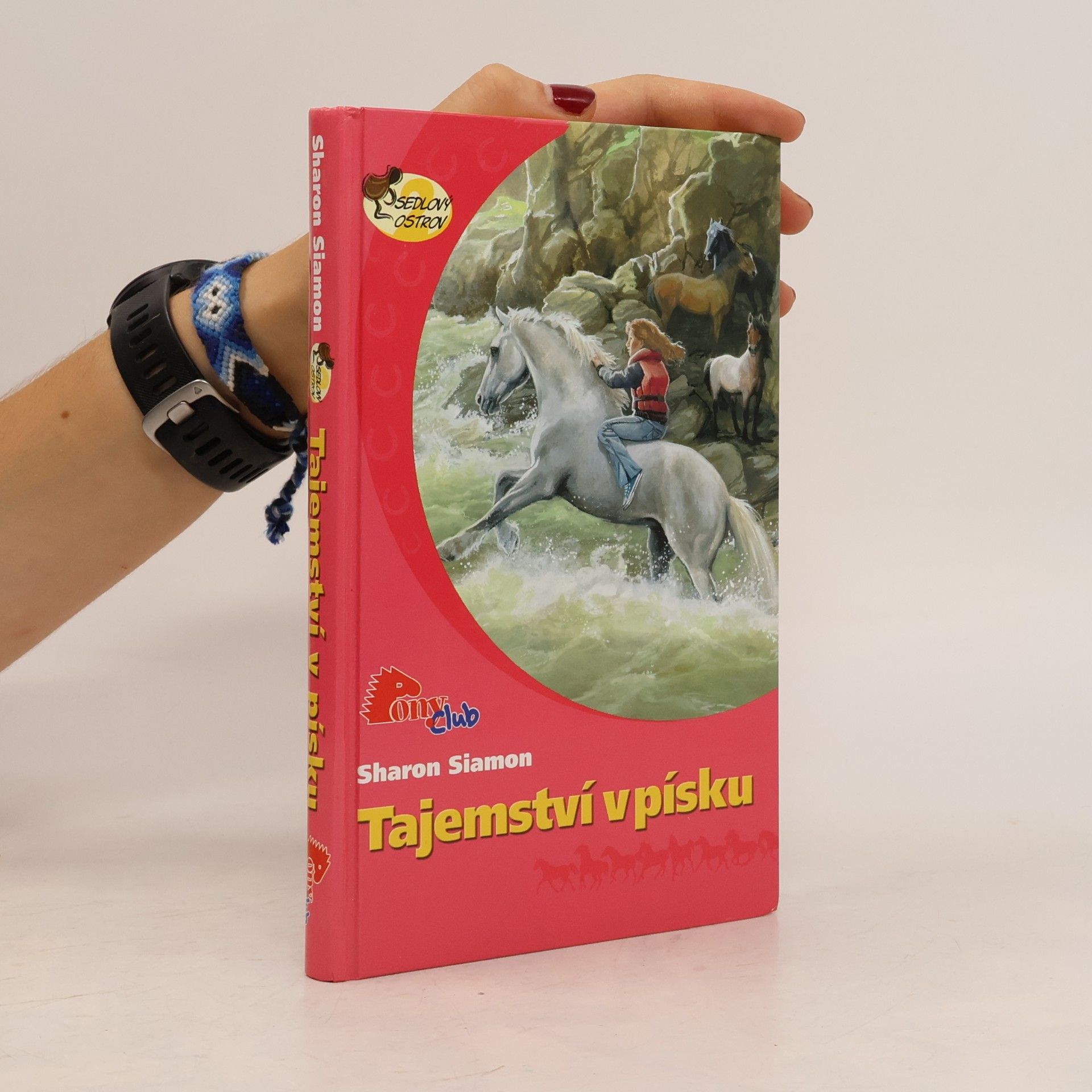 Sharon Siamon Tajemství v písku