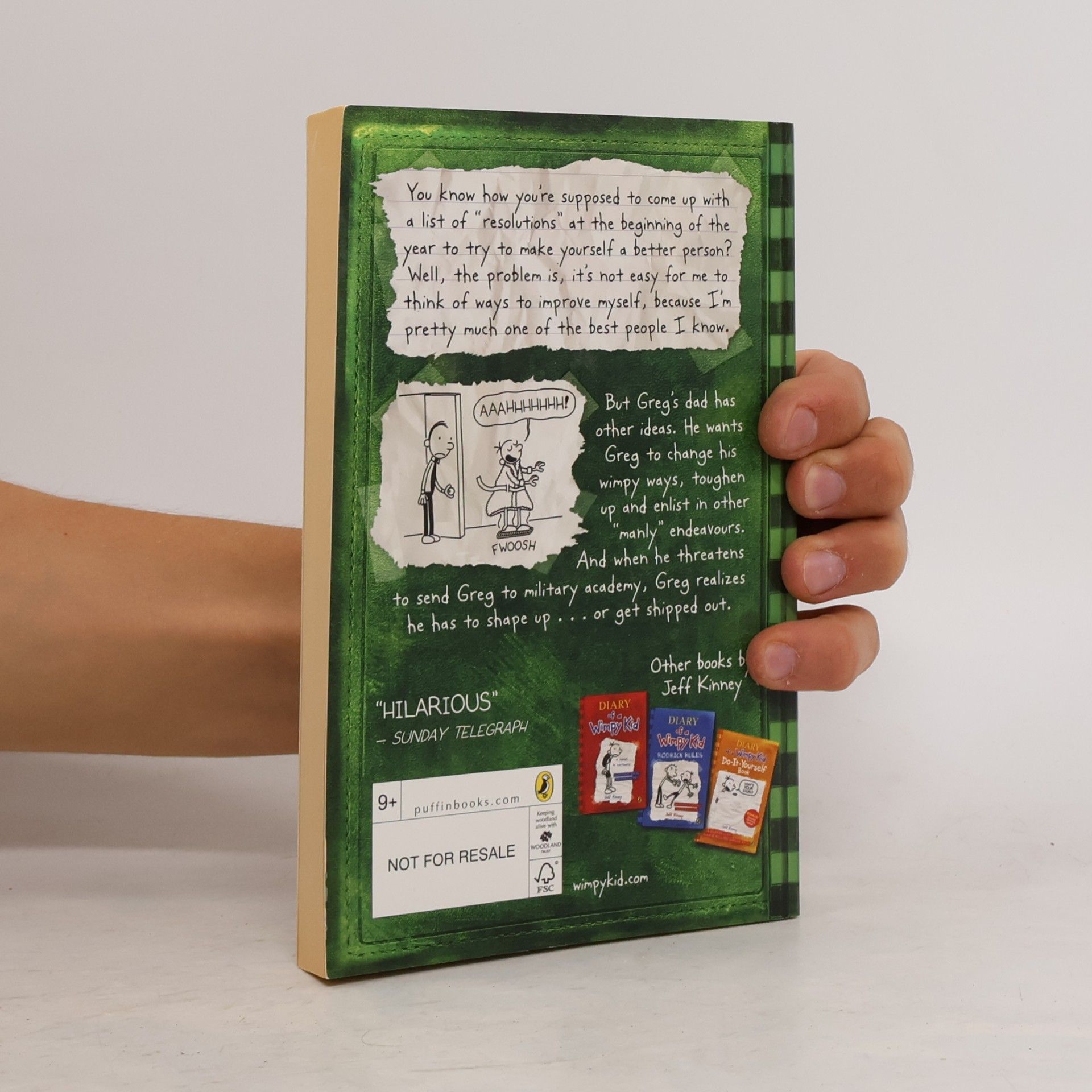 Jeff Kinney Diary of a Wimpy Kid. The Last Straw