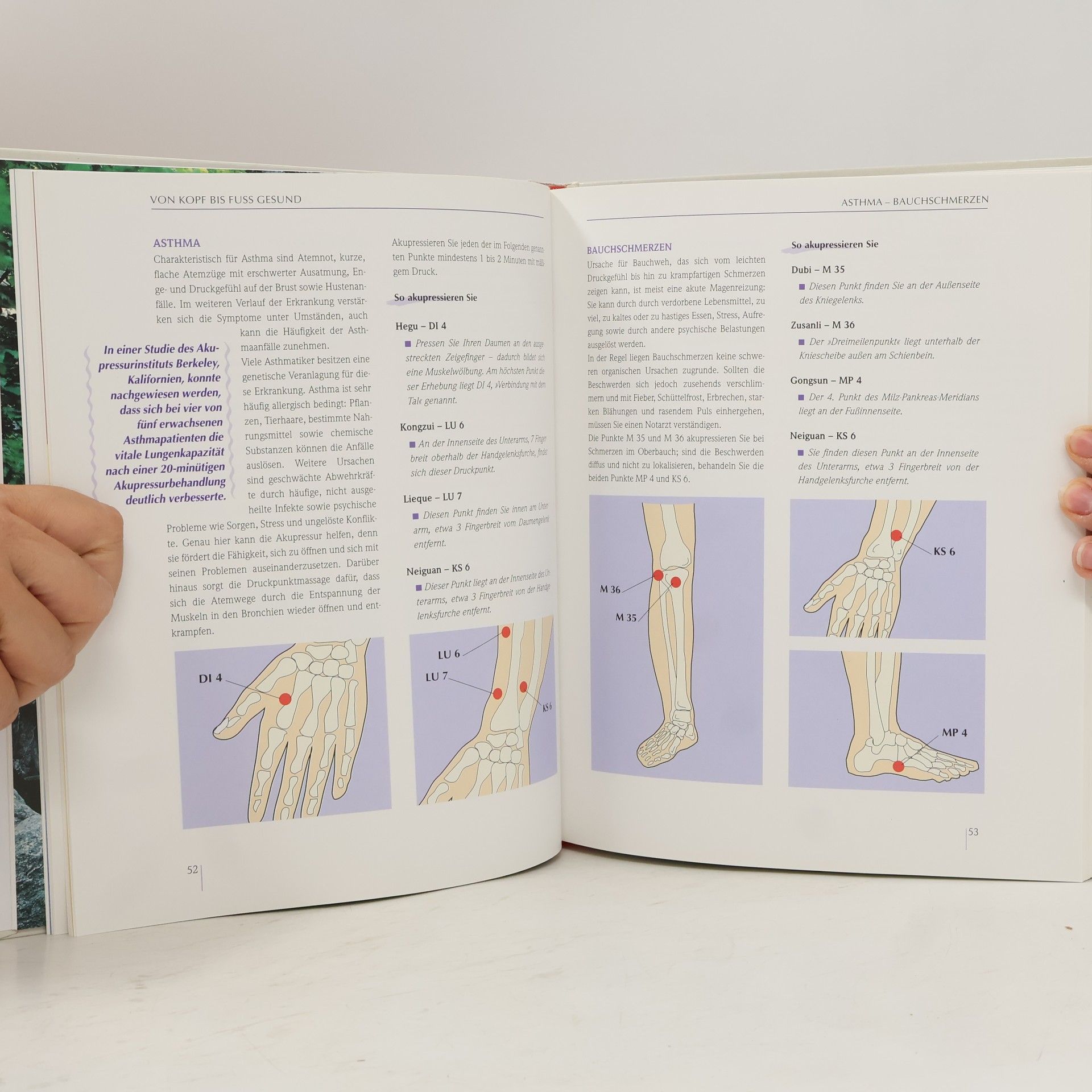 Brigit Frohn Akupressur und Shiatsu