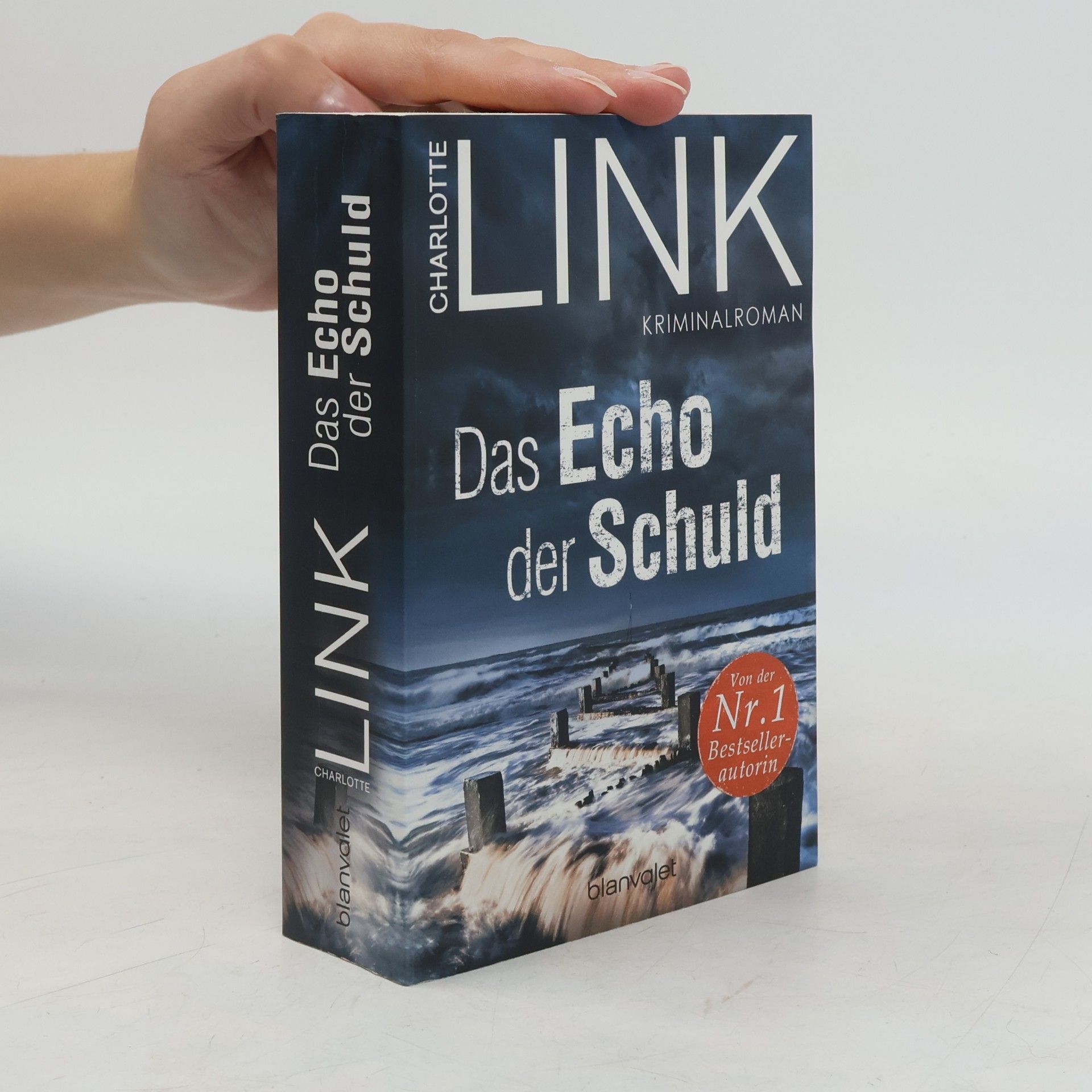 Das Echo der Schuld
