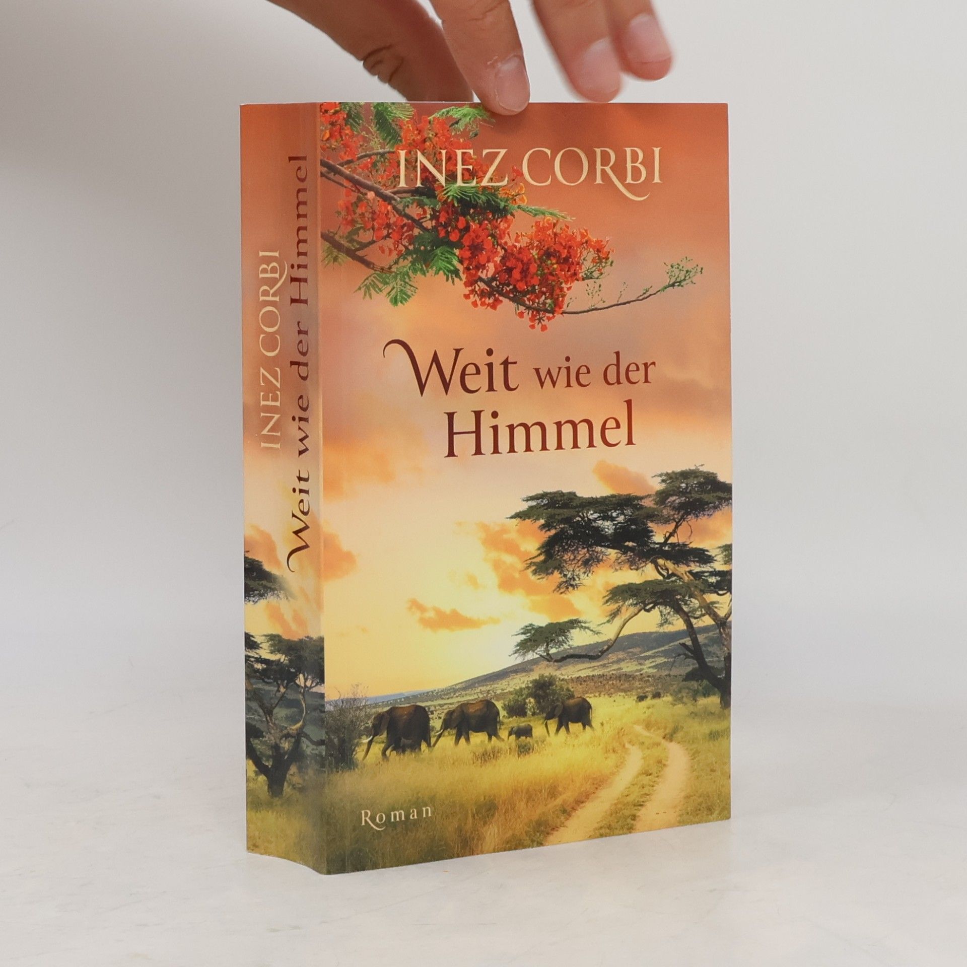 Inez Corbi Weit wie der Himmel