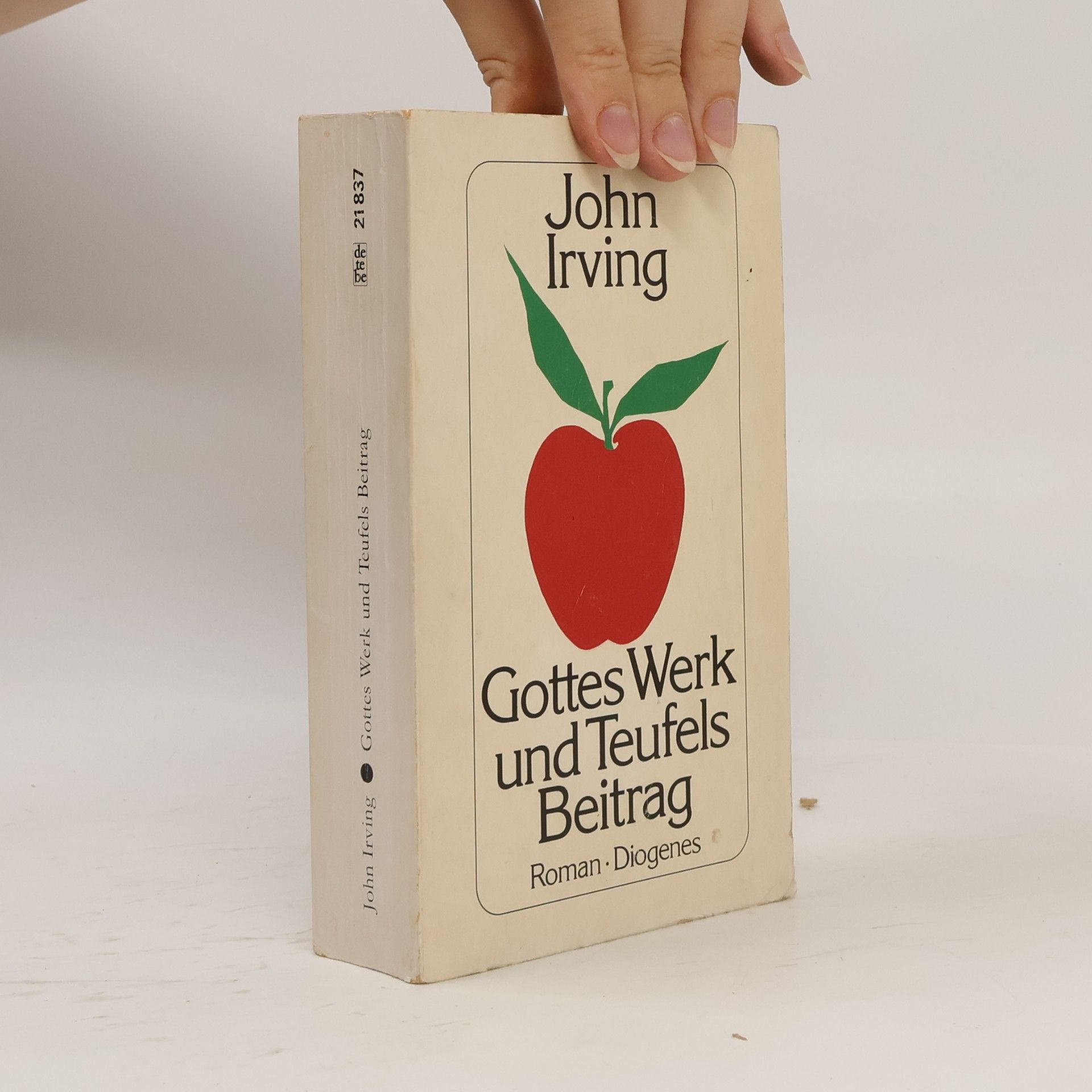 John Irving Gottes Werk und Teufels Beitrag
