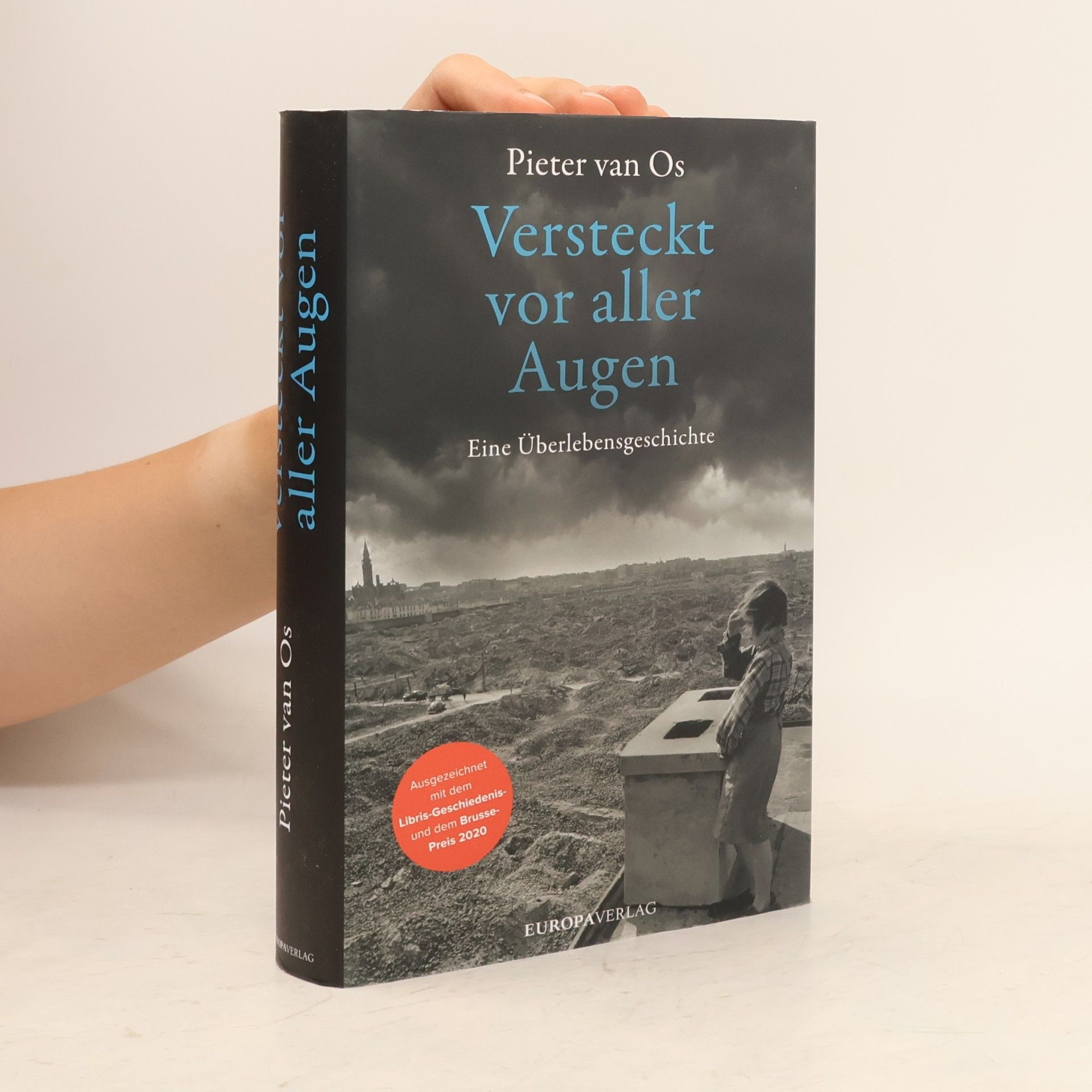 Pieter van Hoorn Versteckt vor aller Augen