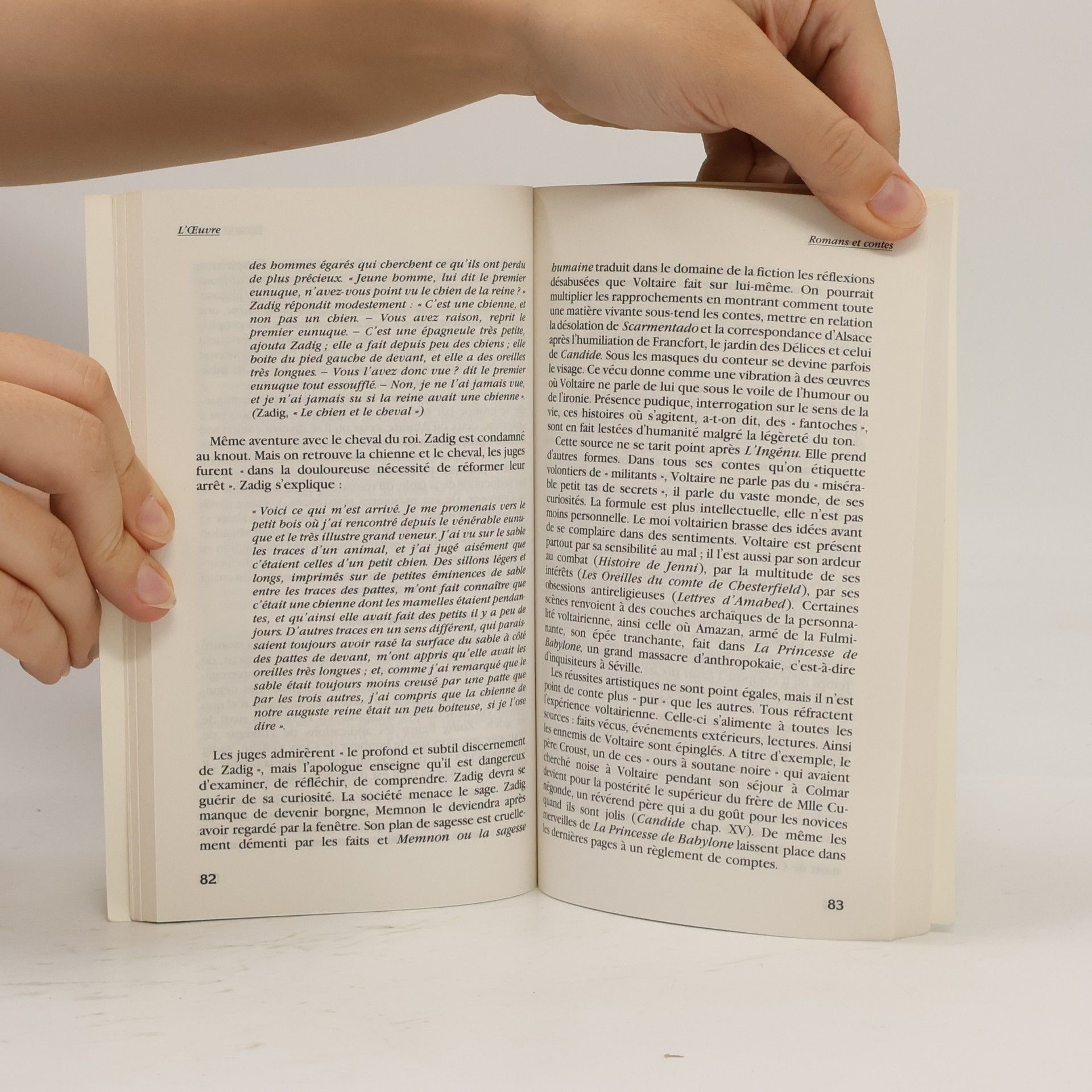 Christiane Mervaud Voltaire En Toutes Lettres